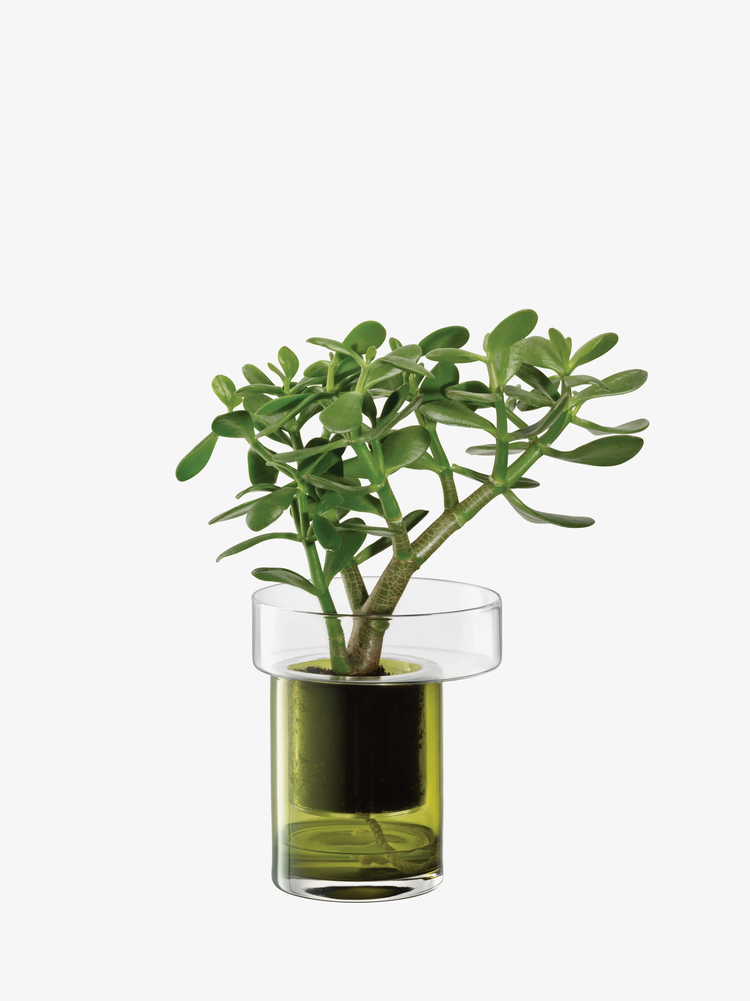 Self Watering Planter - Image 2