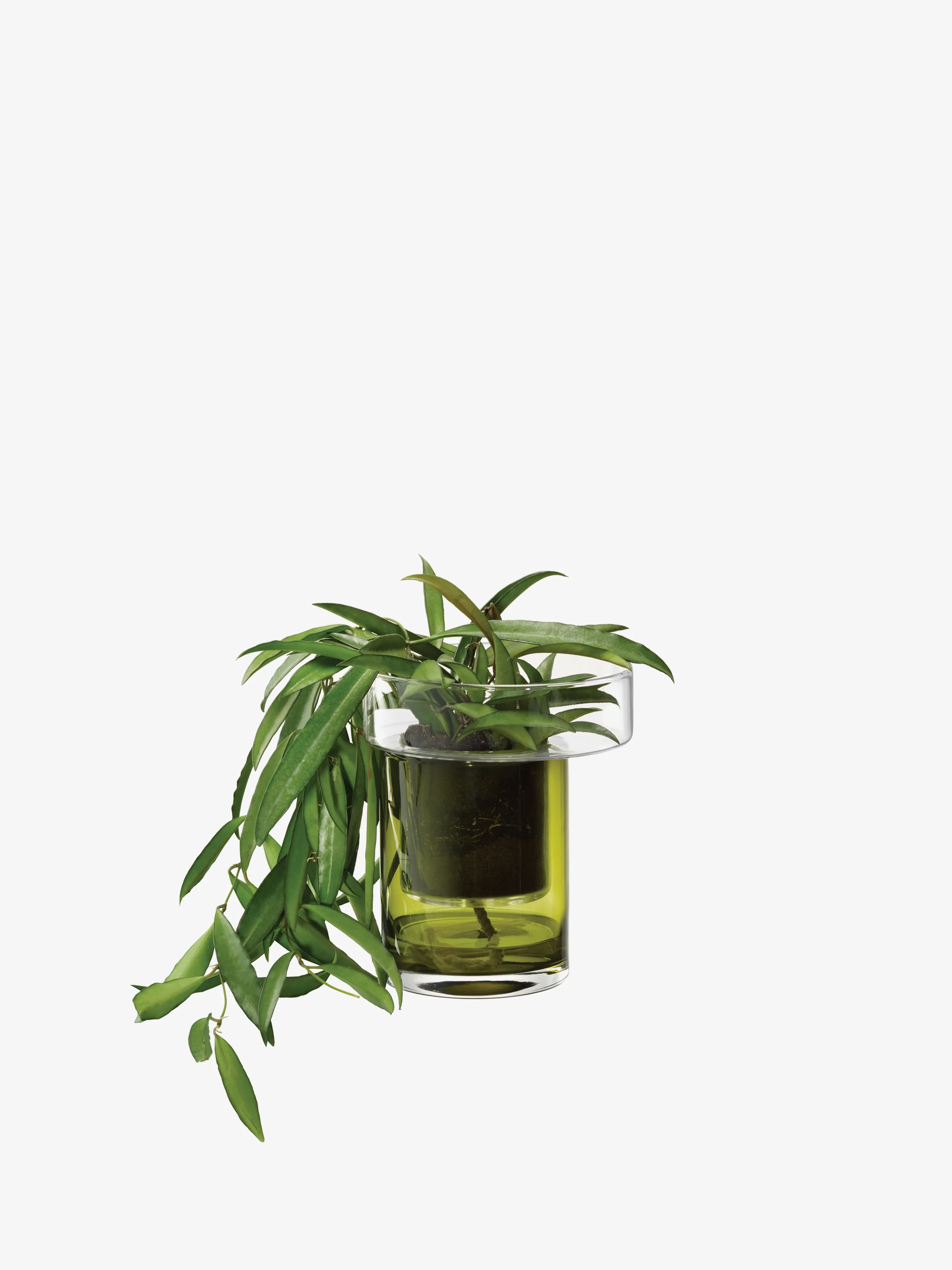 Self Watering Planter - Image 3