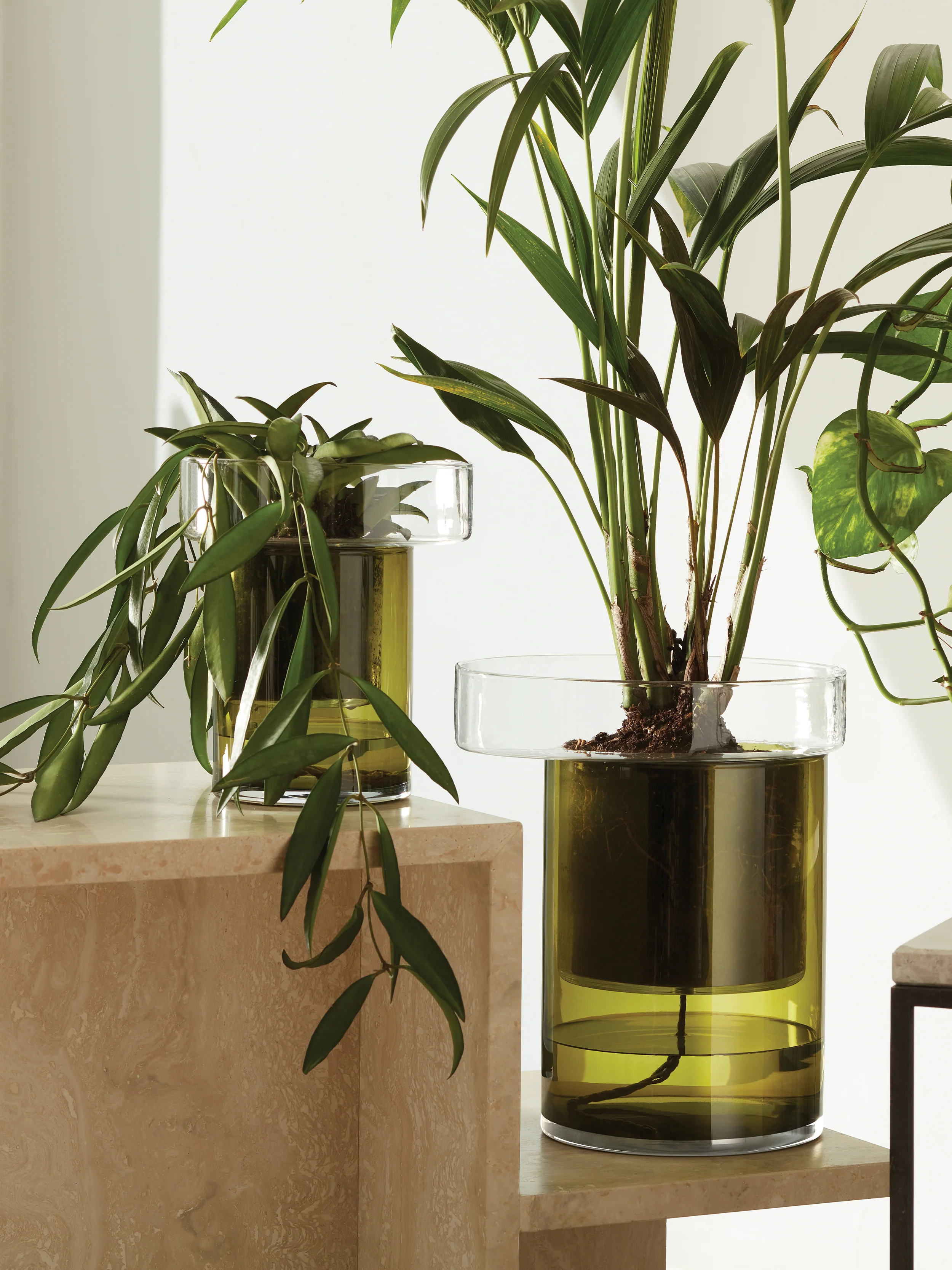 Self Watering Planter - Image 7