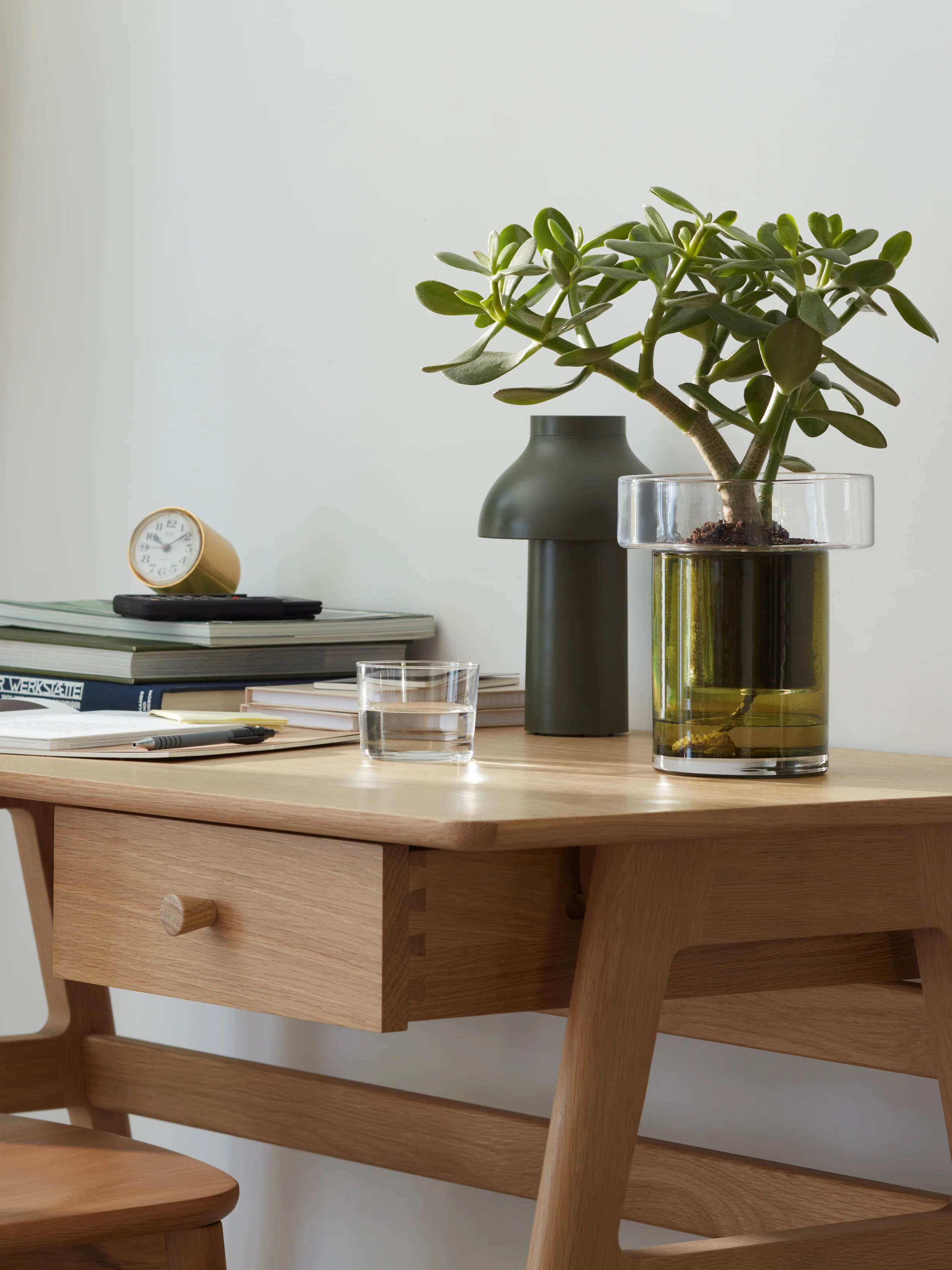Self Watering Planter - Image 8