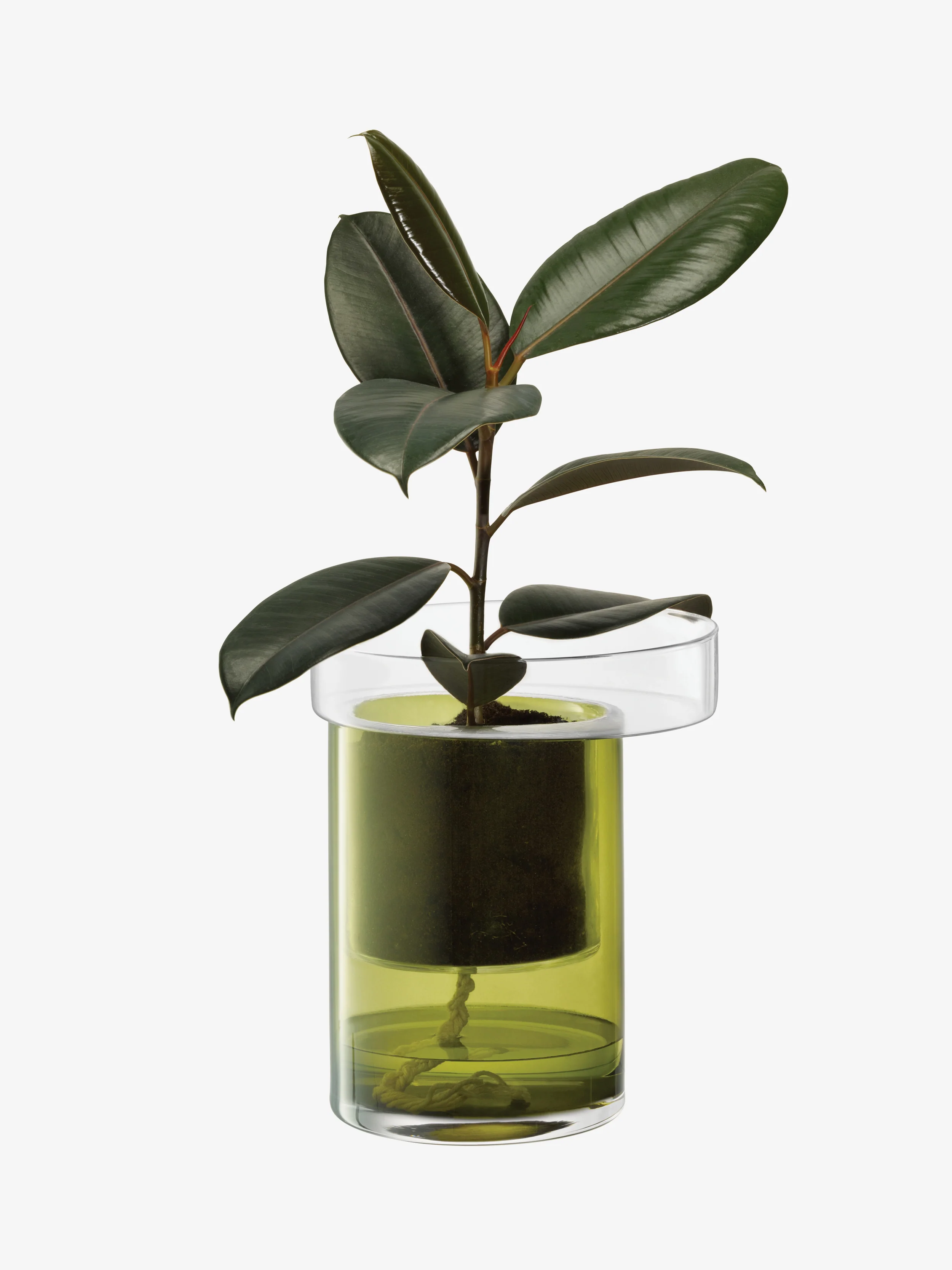 Self Watering Planter - Image 2