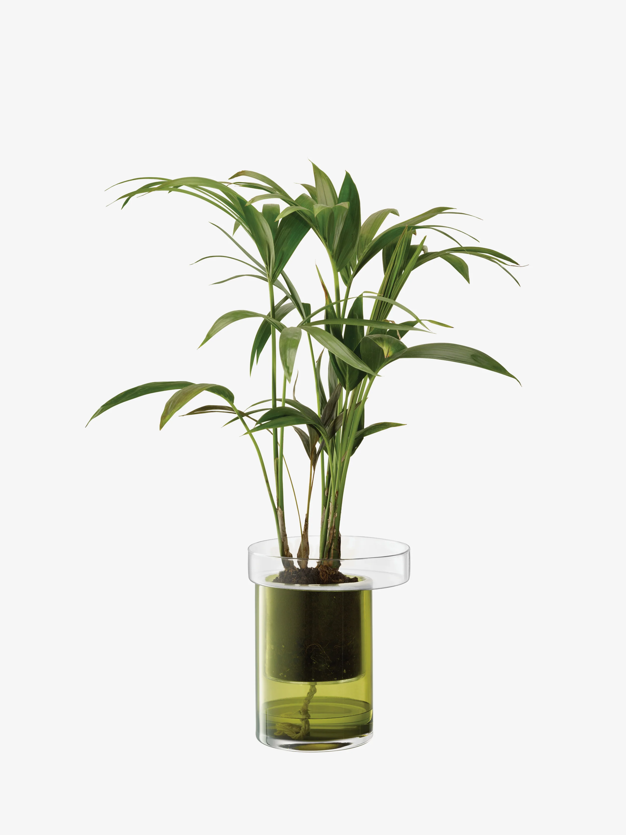 Self Watering Planter - Image 3