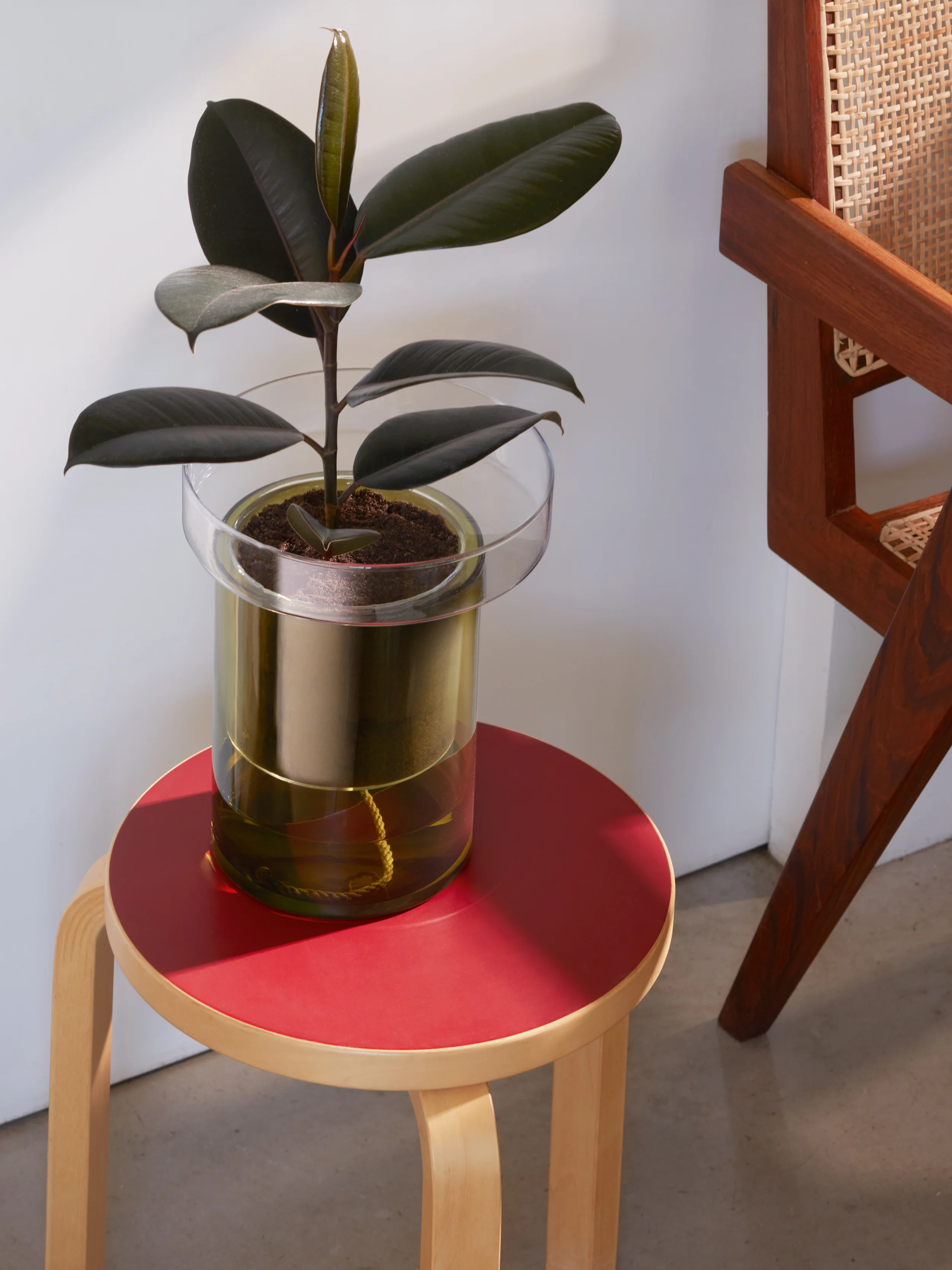 Self Watering Planter - Image 5