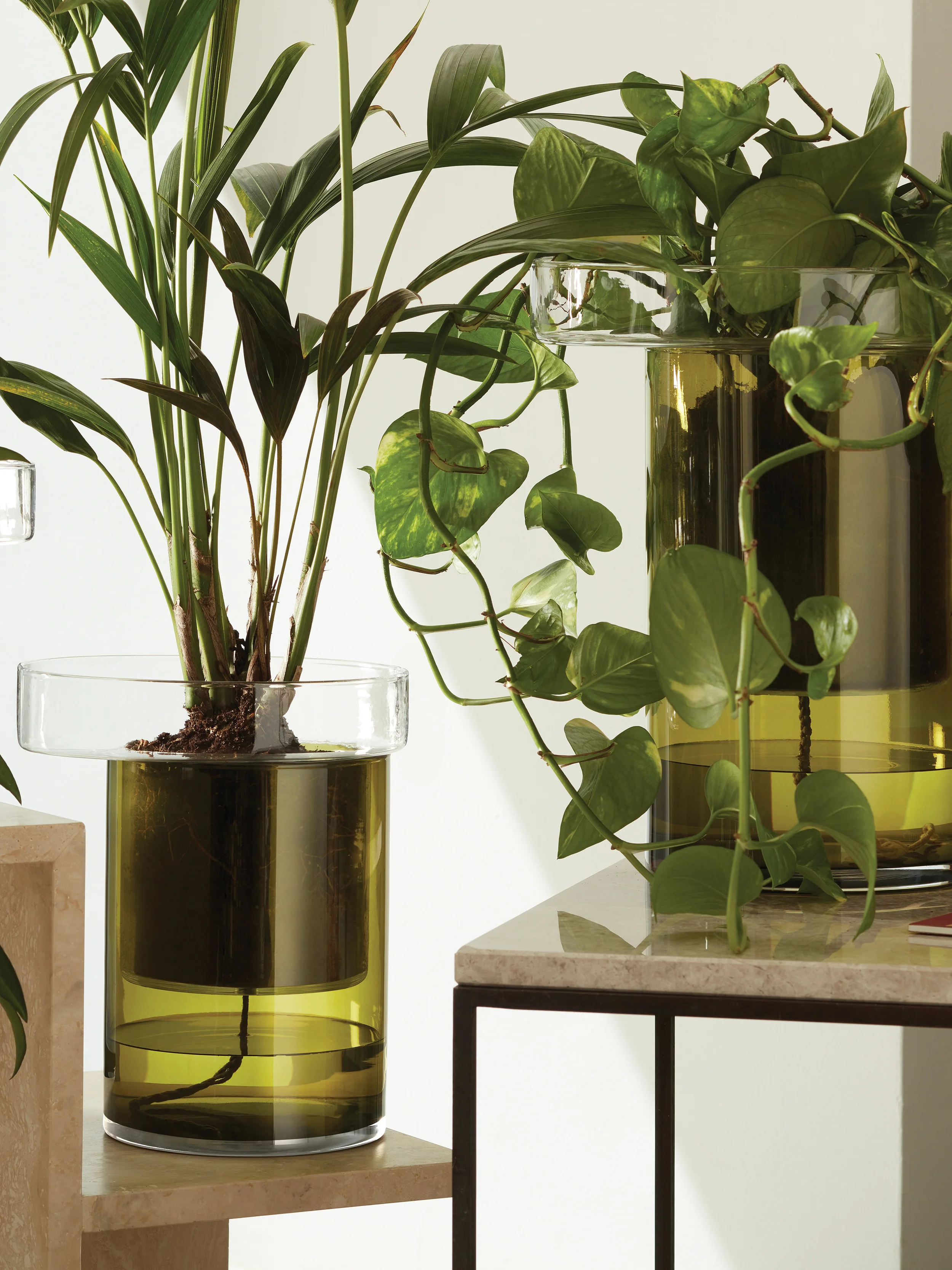 Self Watering Planter - Image 6