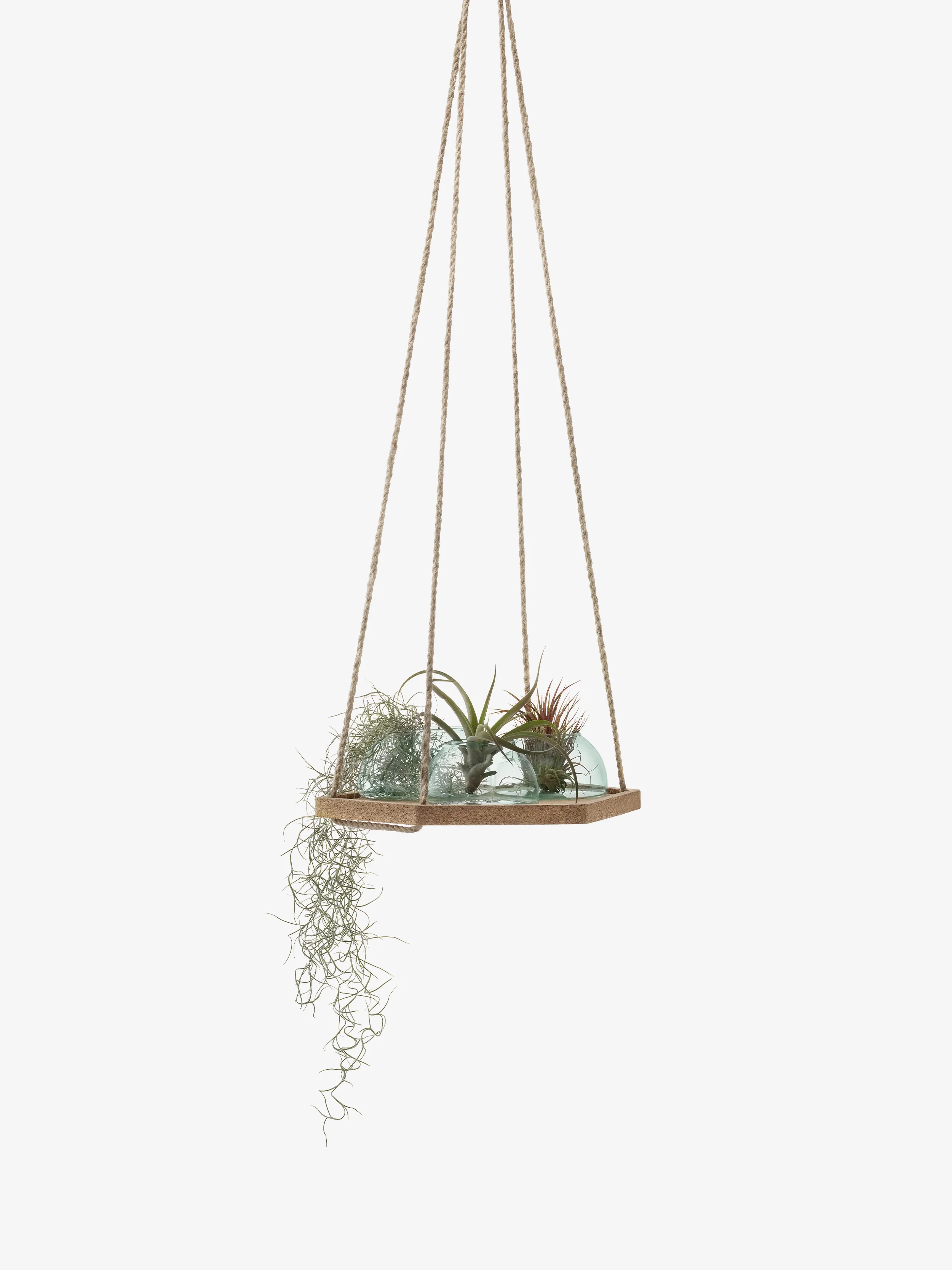 Hanging Planter Set - Image 2