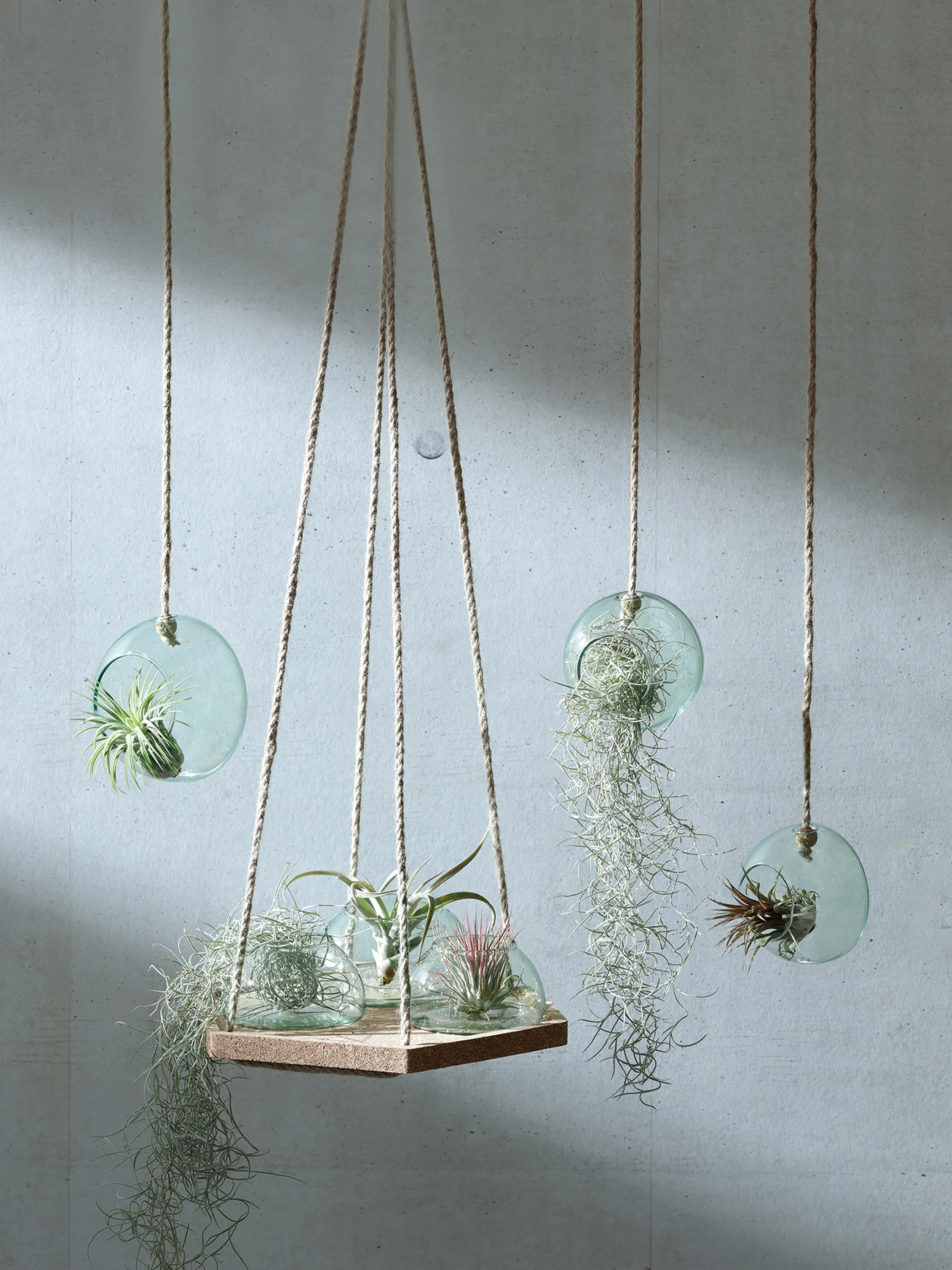 Hanging Planter Set - Image 6