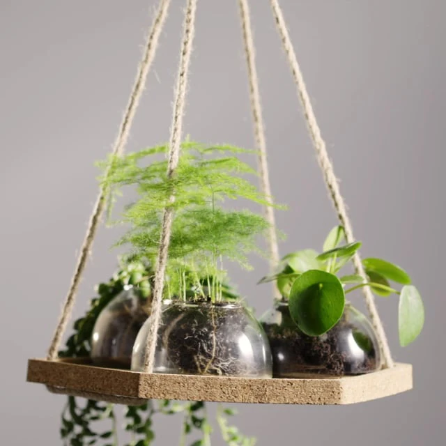 Hanging Planter Set - Image 7