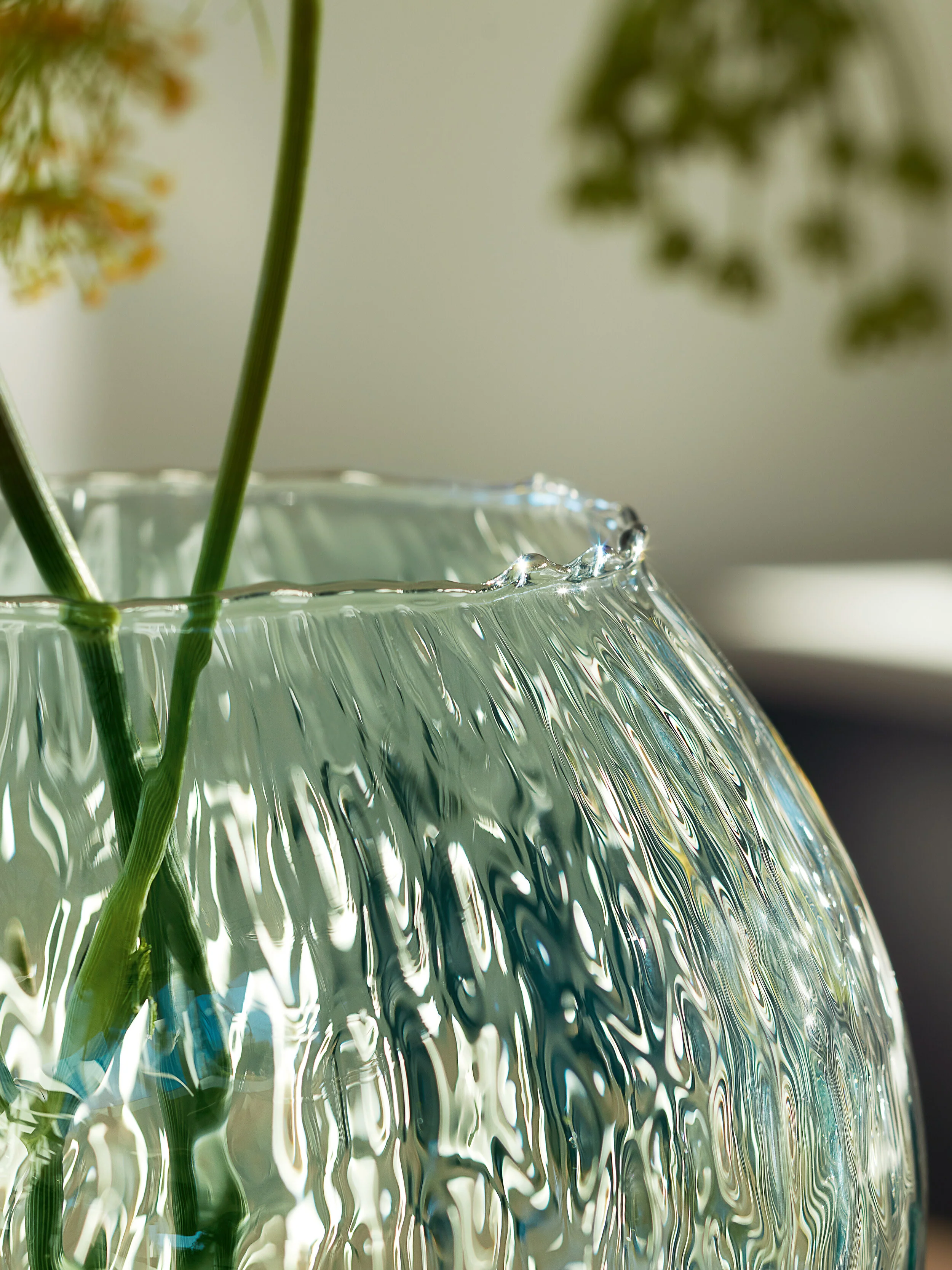 Seed Vase - Image 3