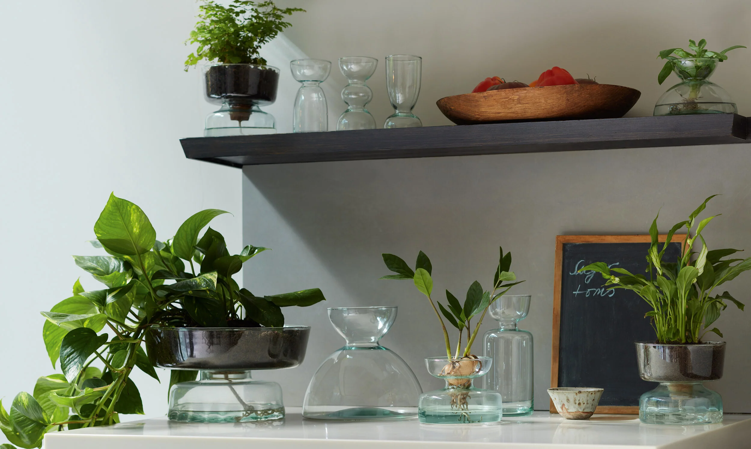 Self Watering Planter - Image 10