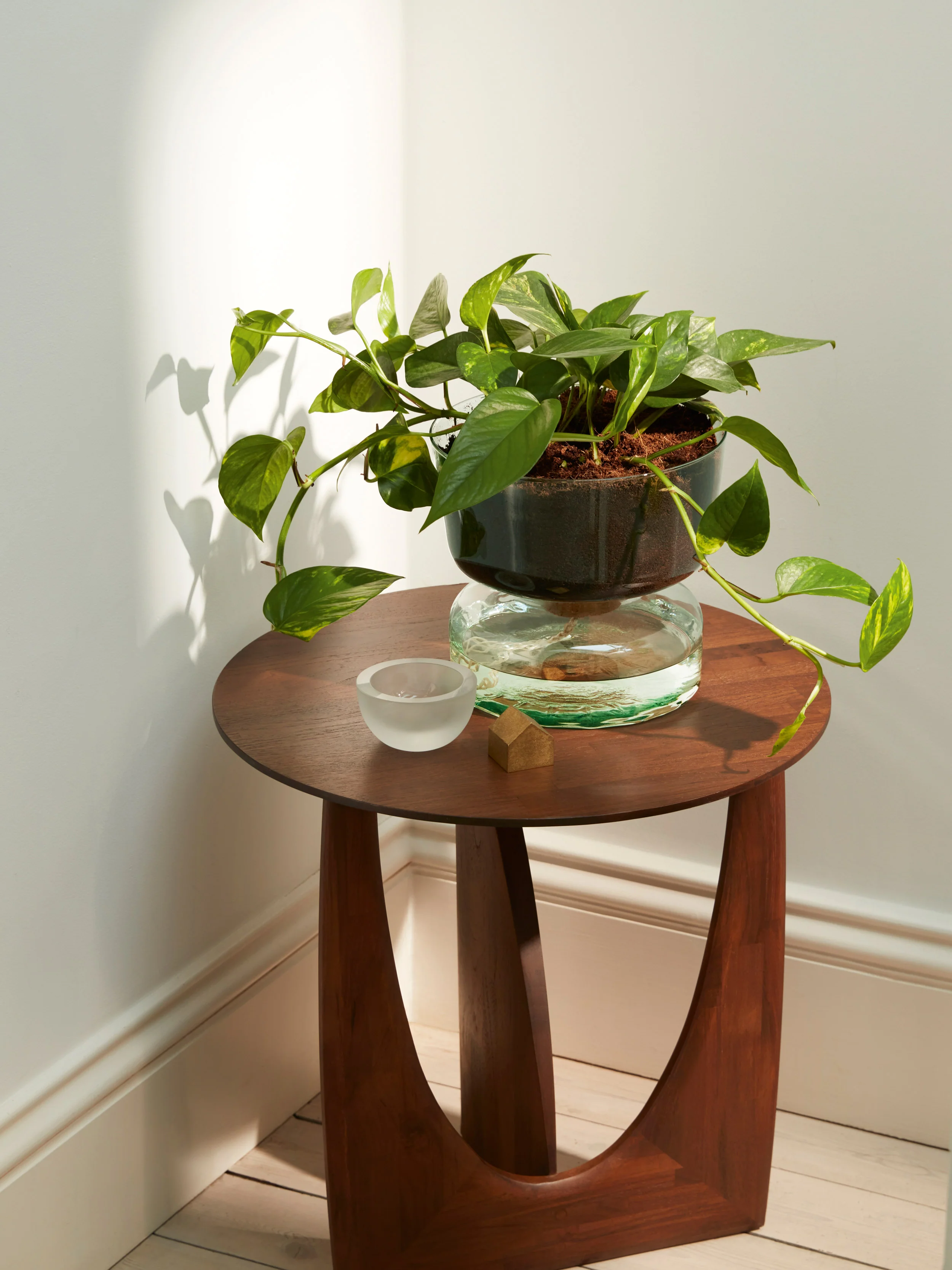 Self Watering Planter Clear/Part Optic - Image 7