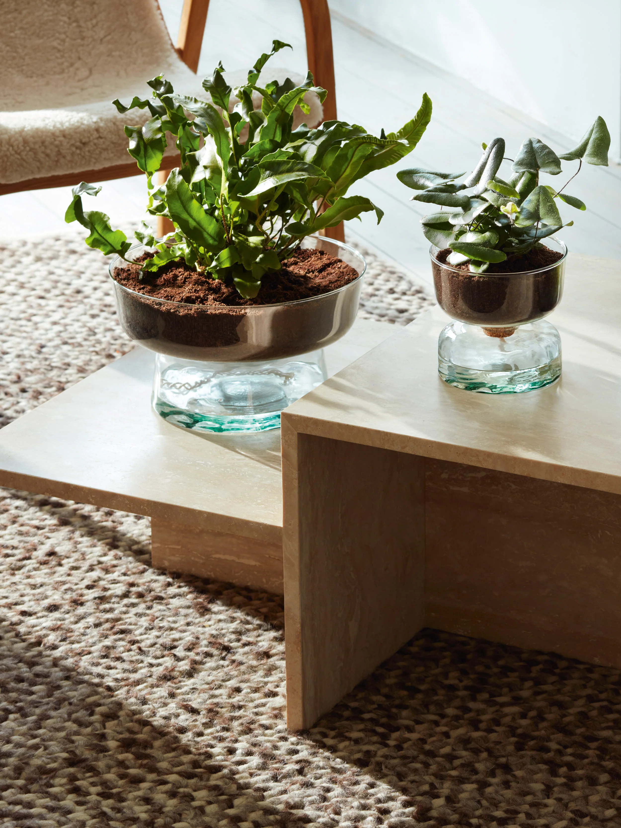 Self Watering Planter Clear/Part Optic - Image 7