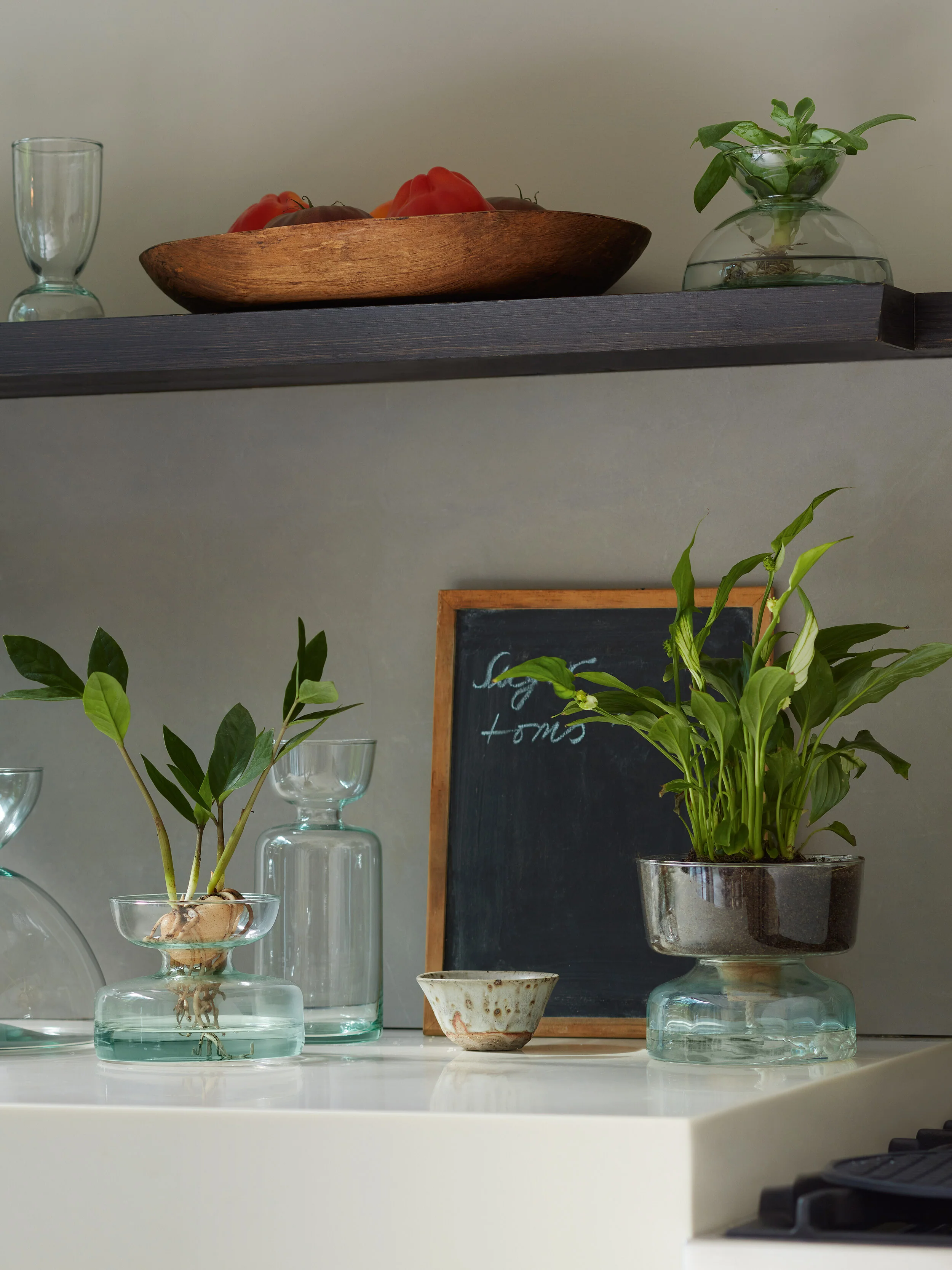 Self Watering Planter Clear/Part Optic - Image 9