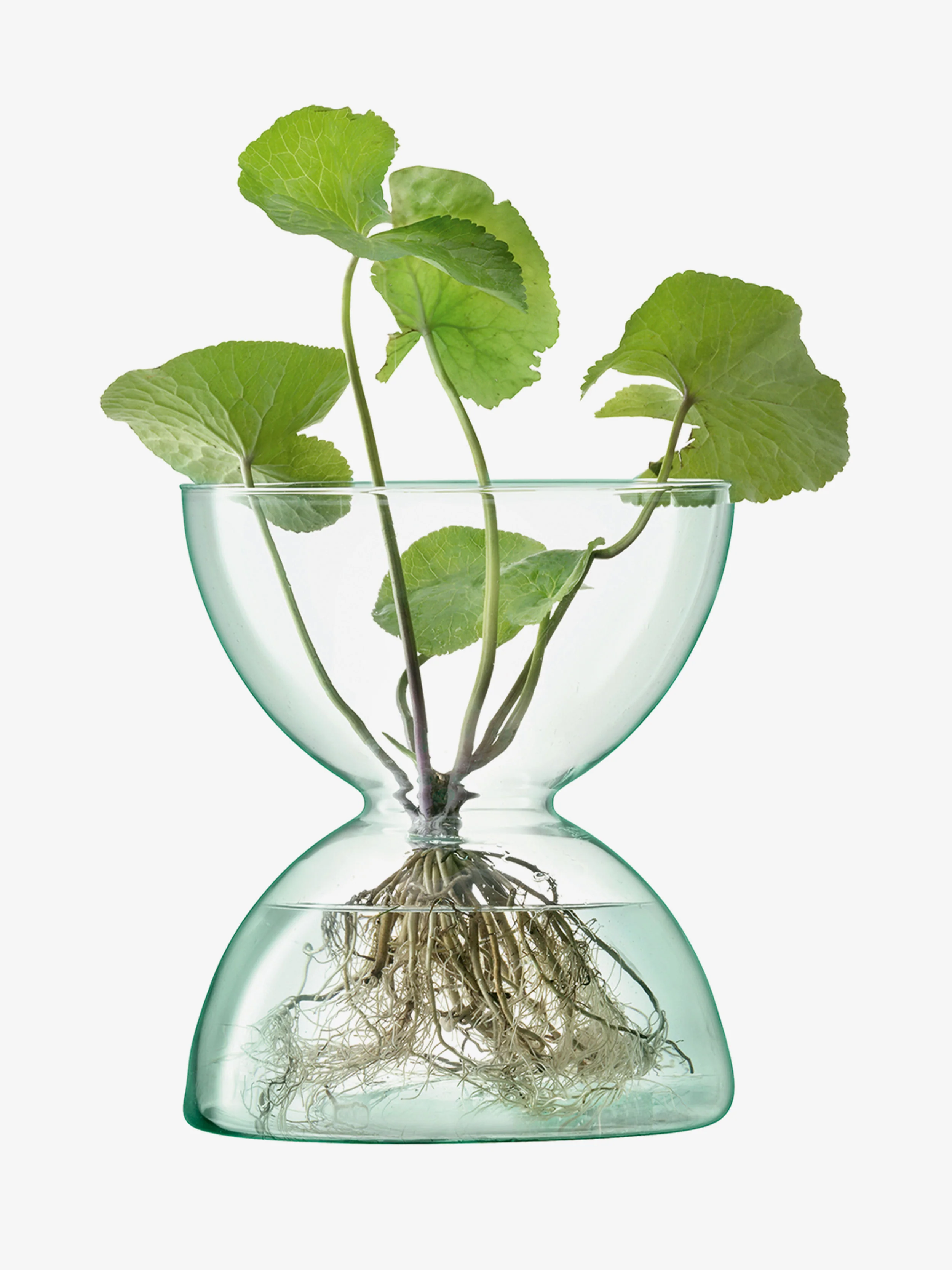 Vase - Image 2