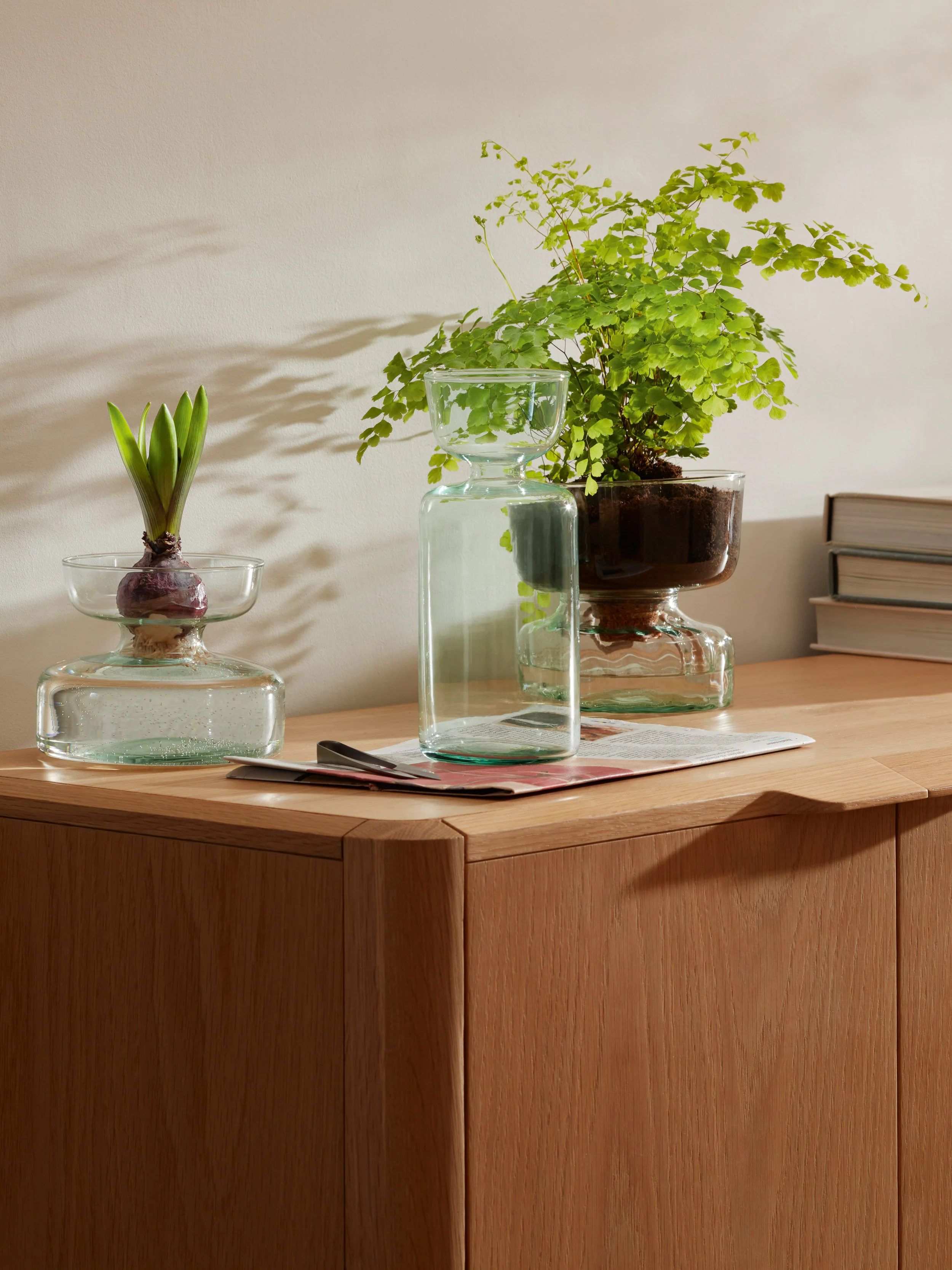 Vase/Bulb Planter - Image 6