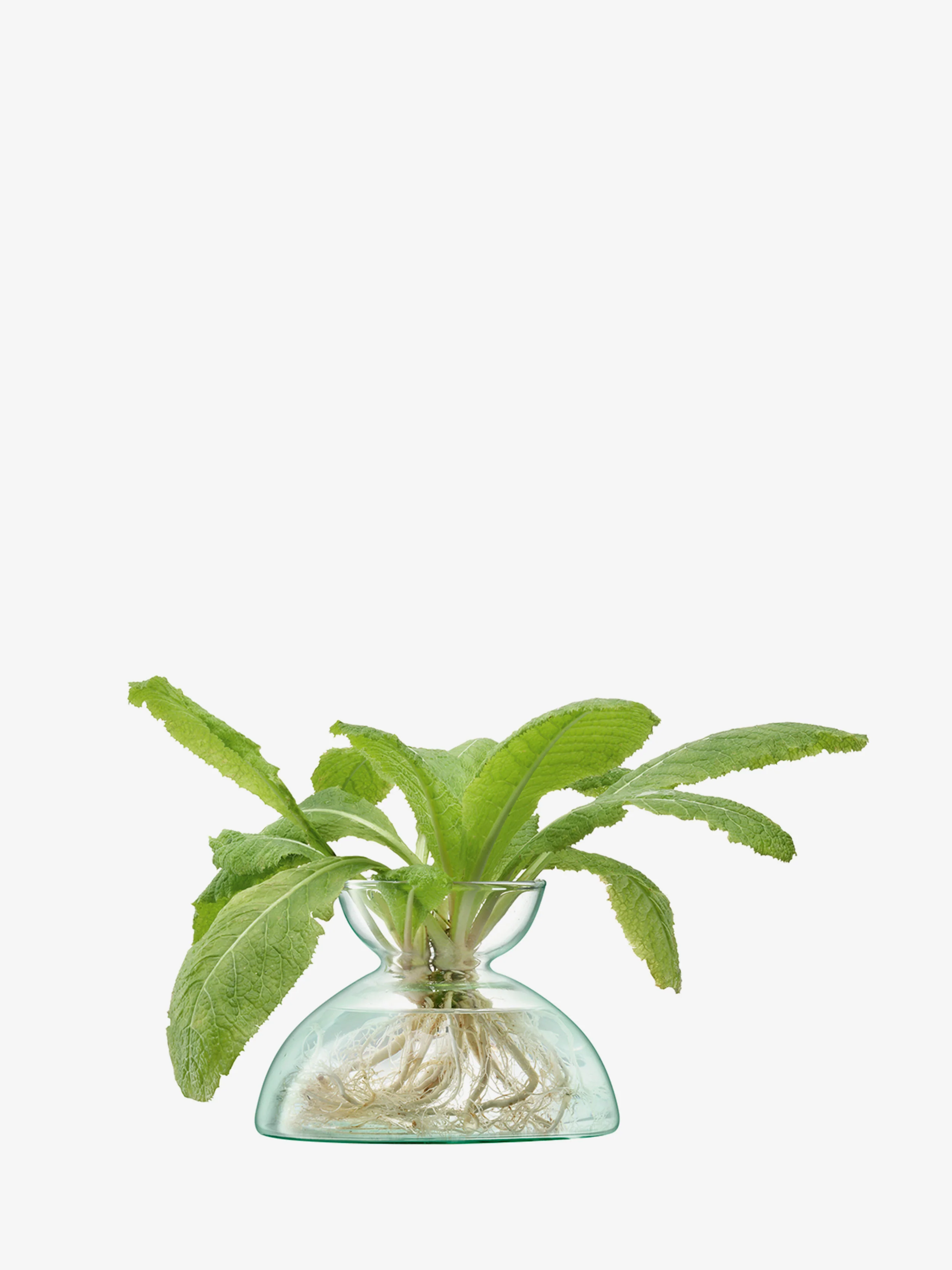 Vase - Image 3