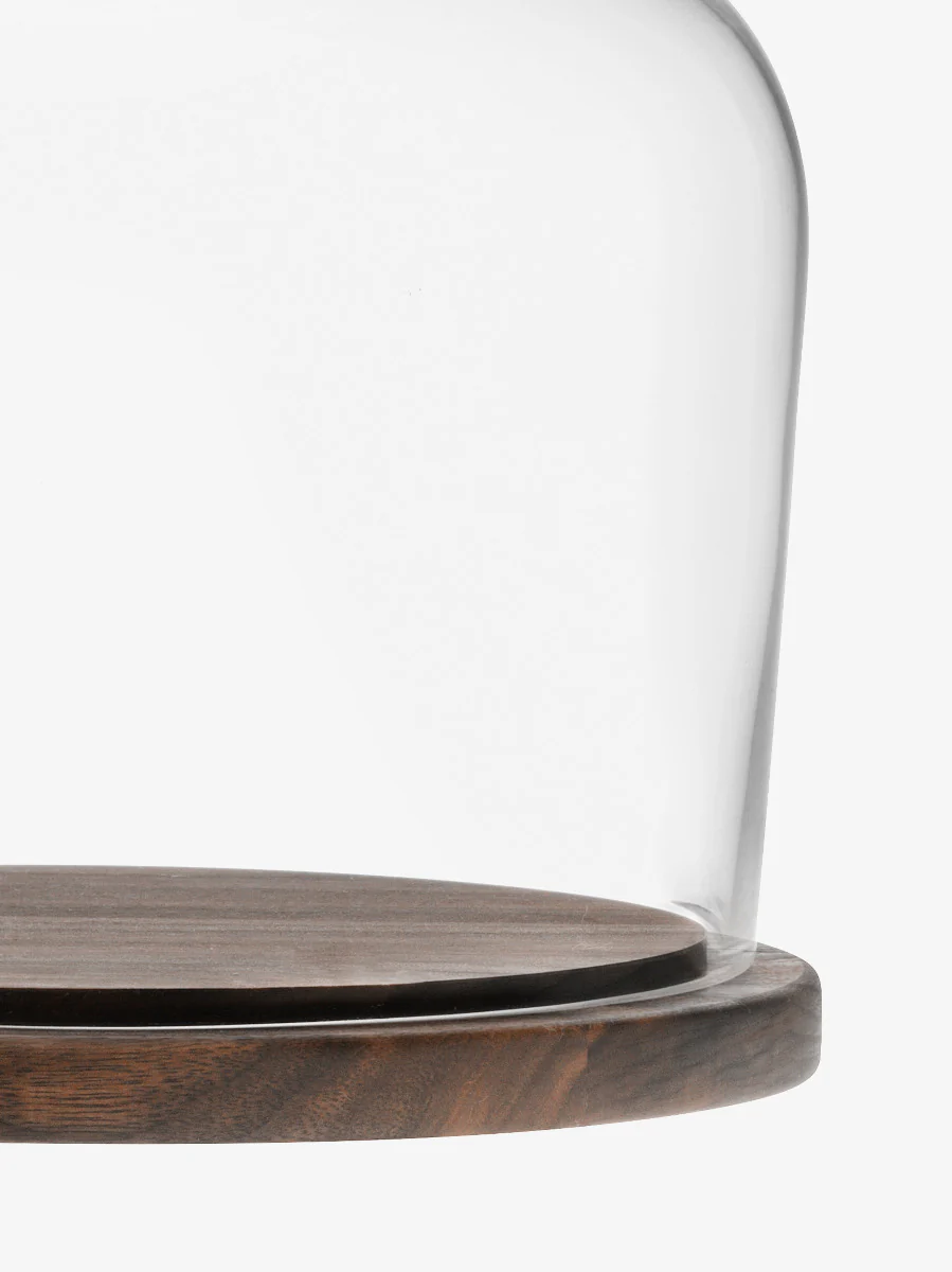 Dome & Walnut Base - Image 6