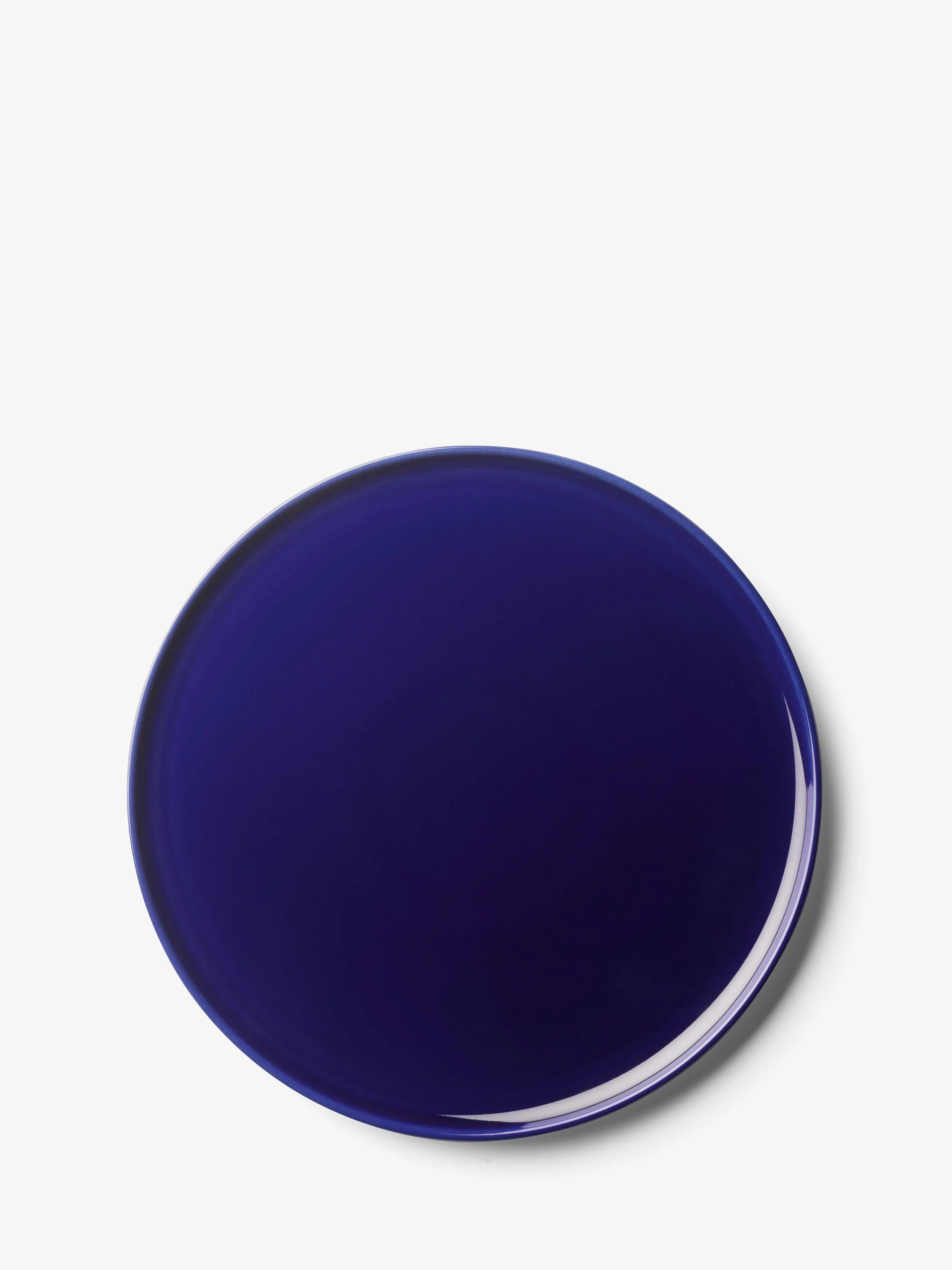 Dinner Plate - Image 3