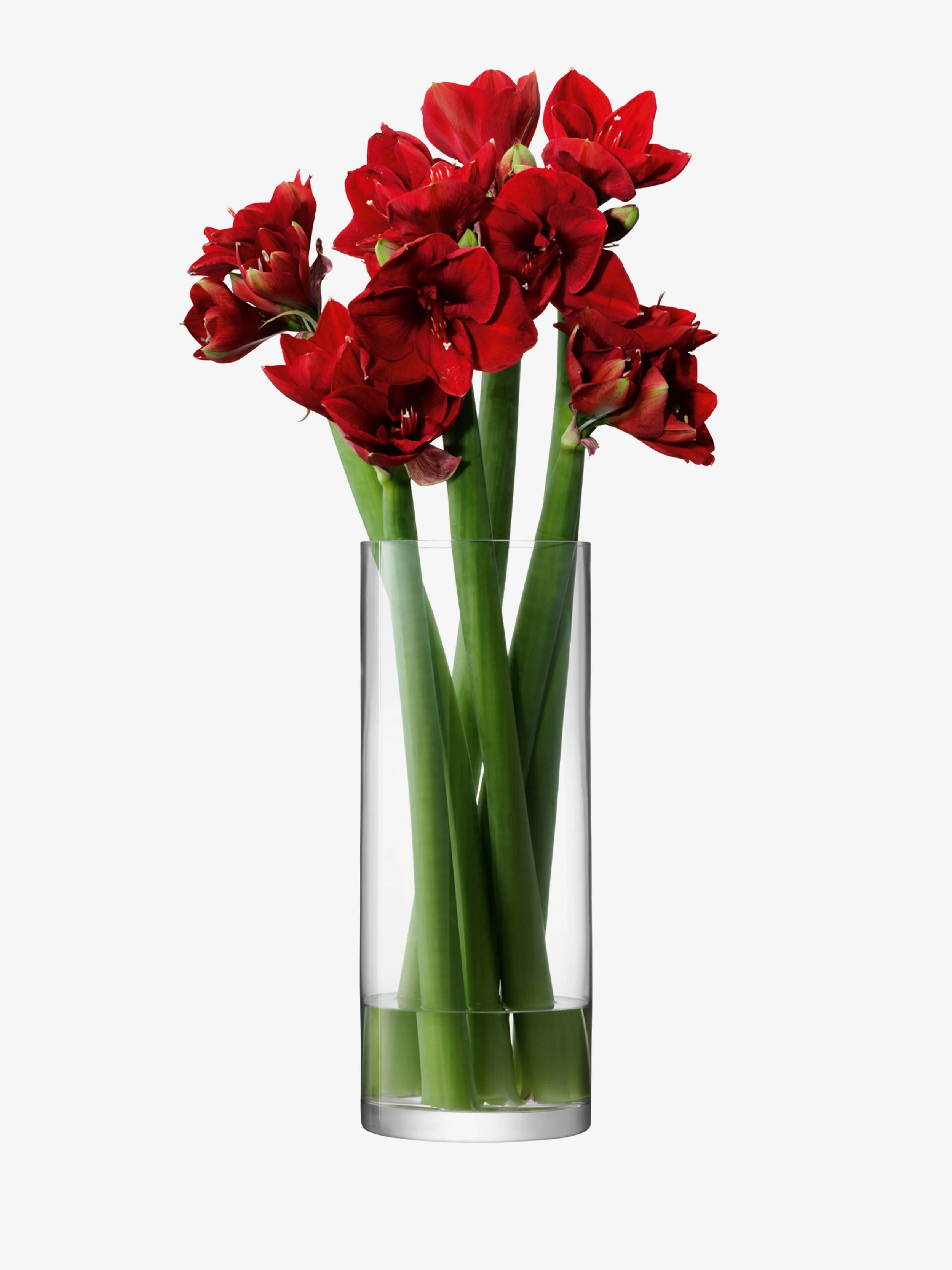 Giant Vase - Image 4
