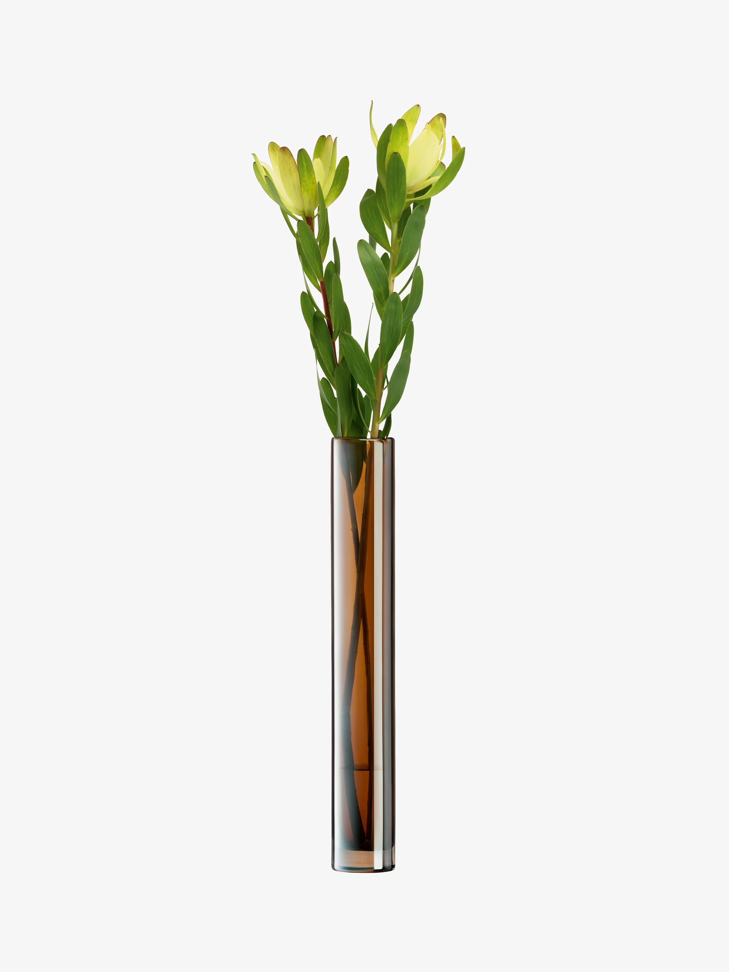 Vase - Image 10
