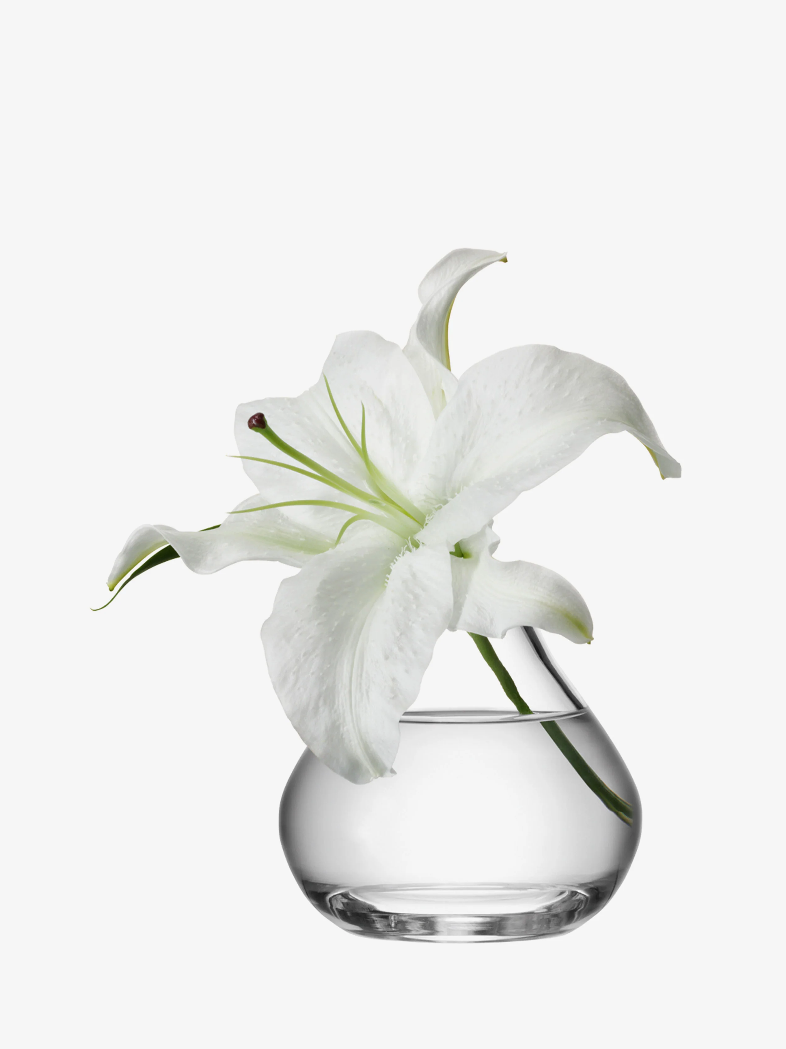 Sprig Vase - Image 2