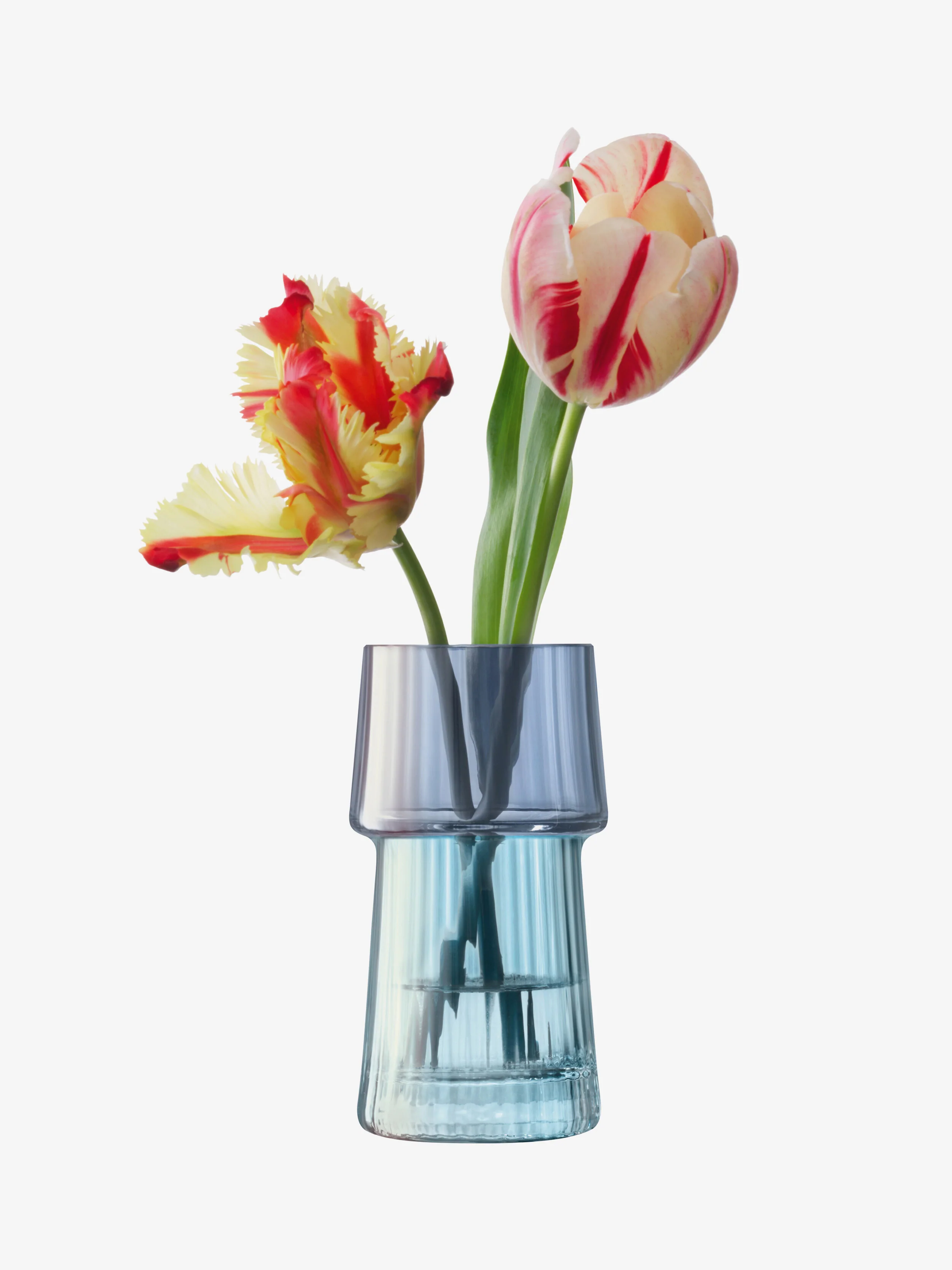 Vase - Image 23