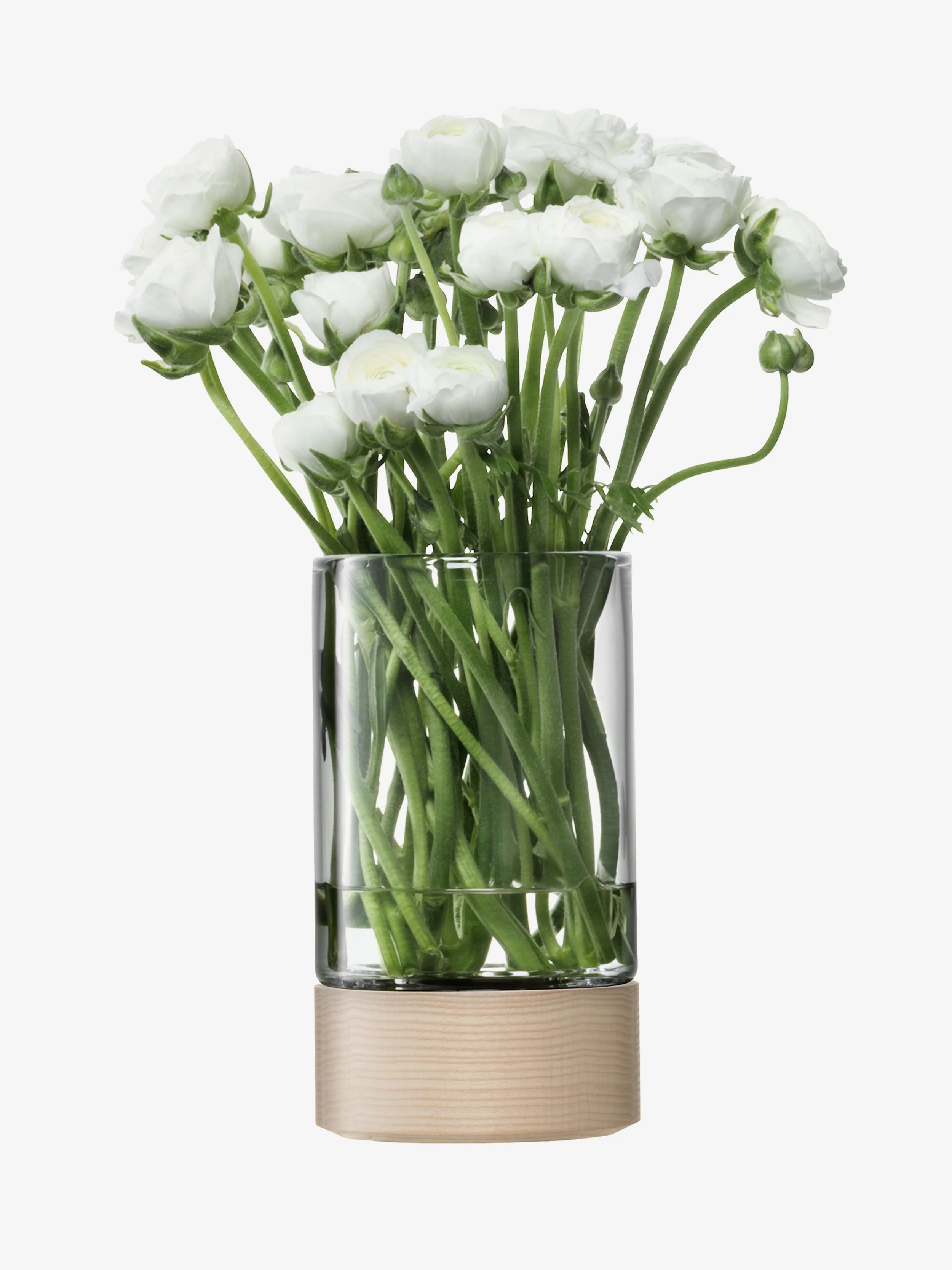 Lantern - Image 2
