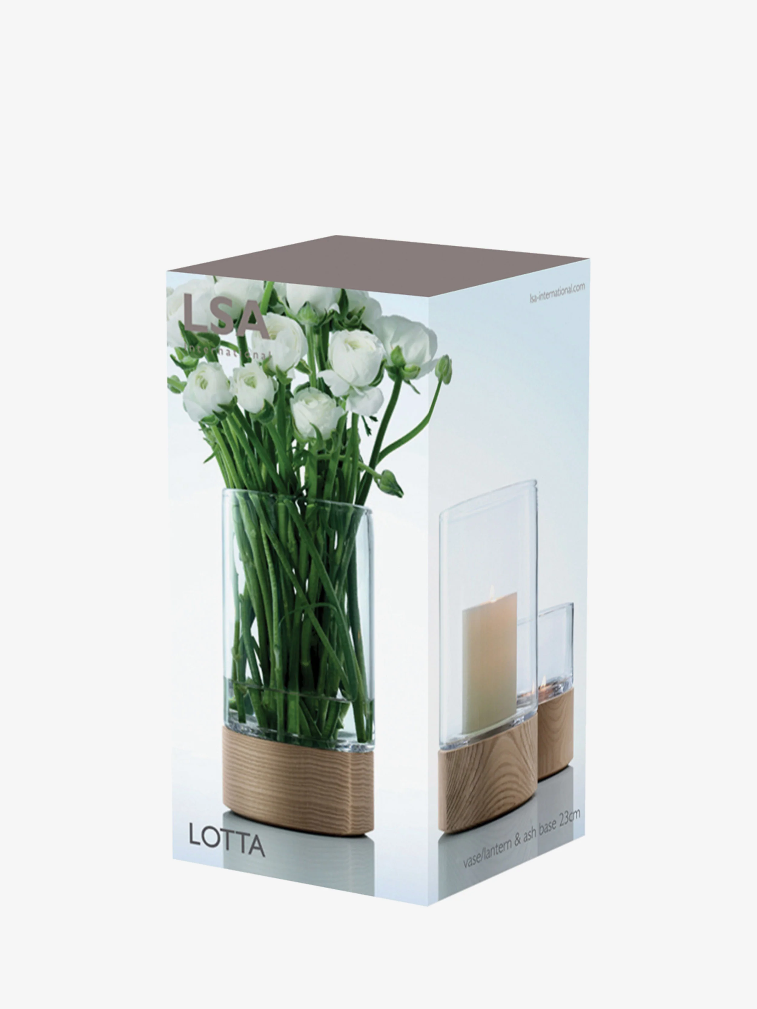Lantern - Image 4