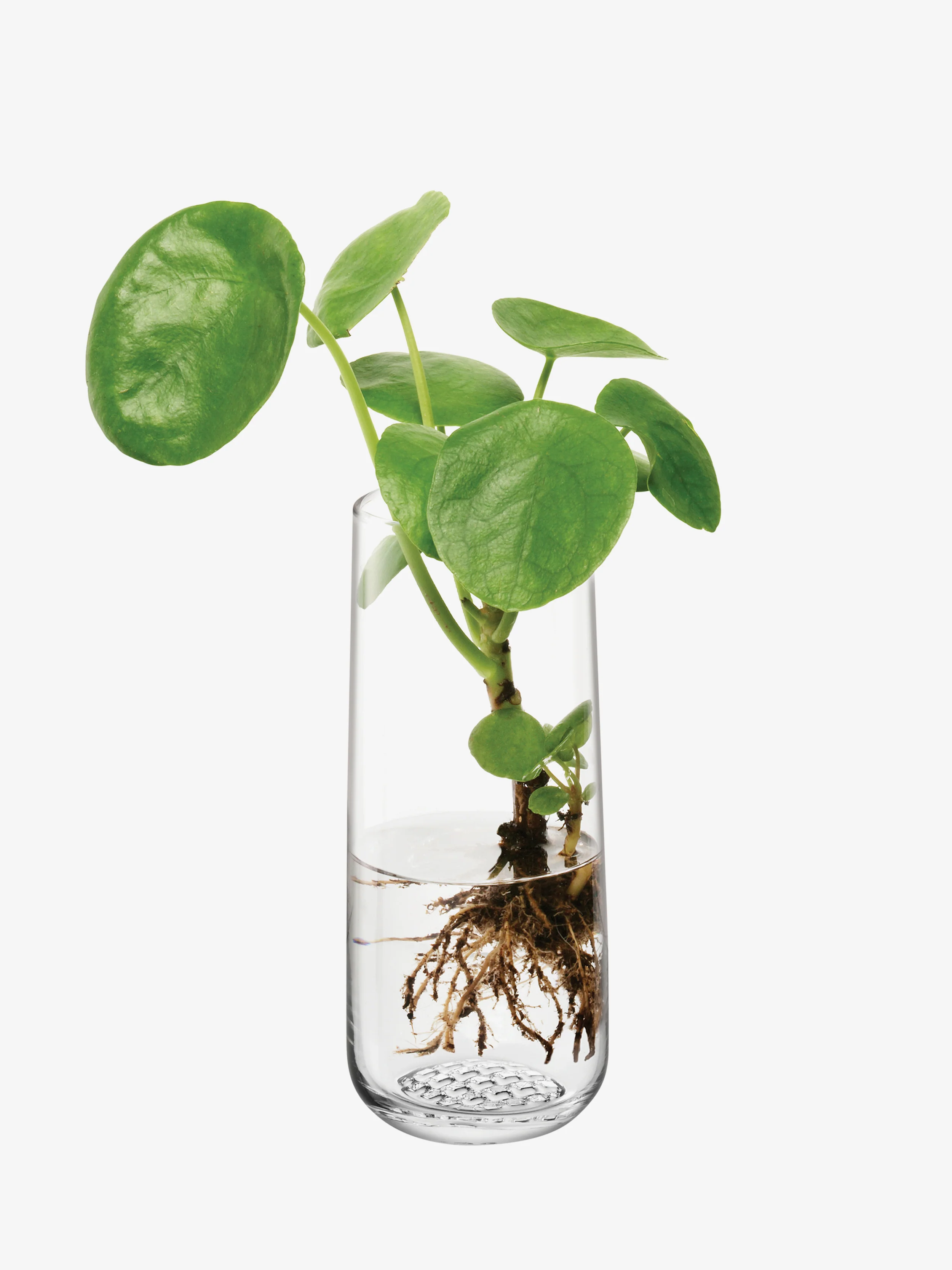 Bud Vase - Image 2