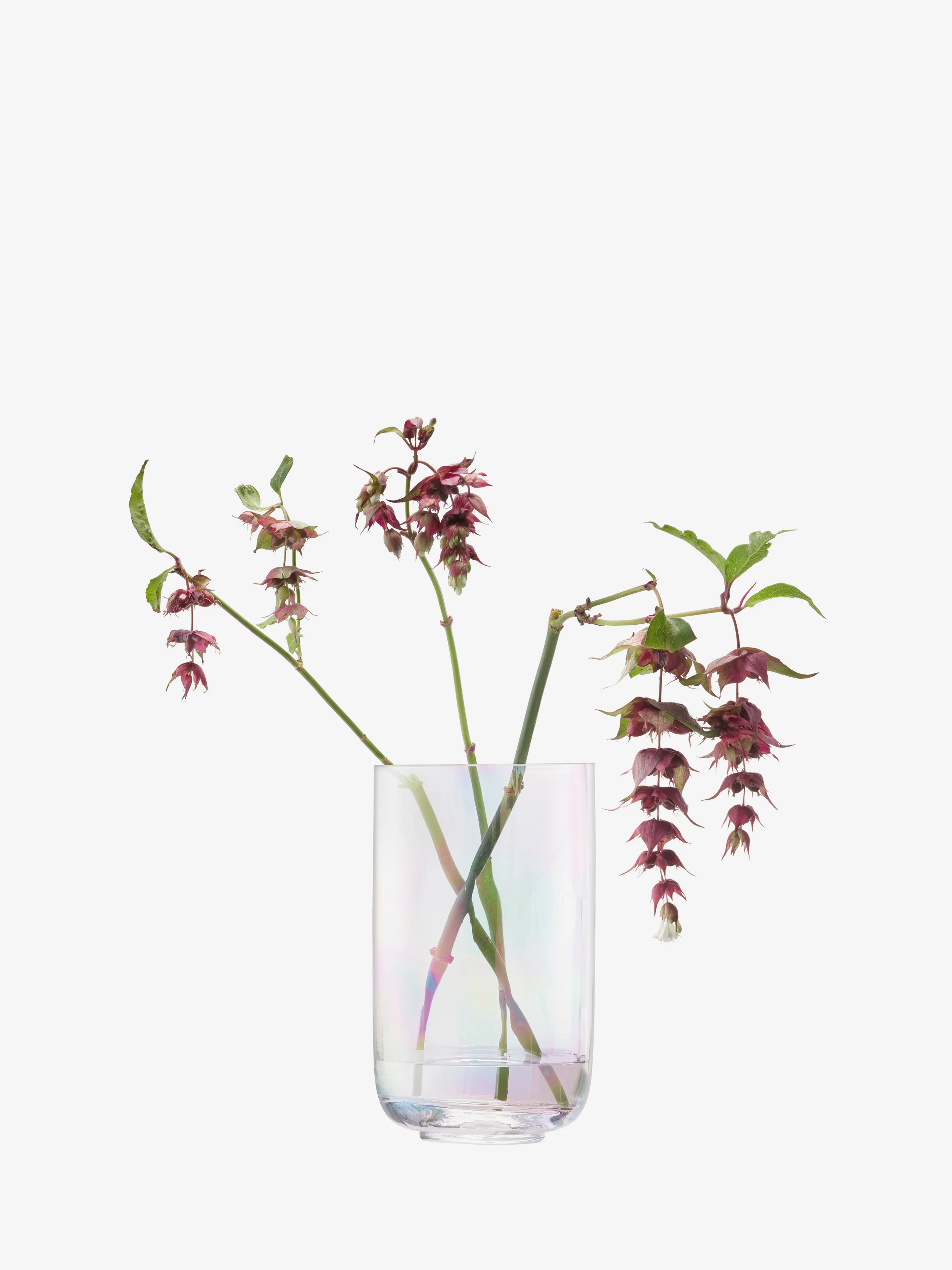 Lantern/Vase - Image 3