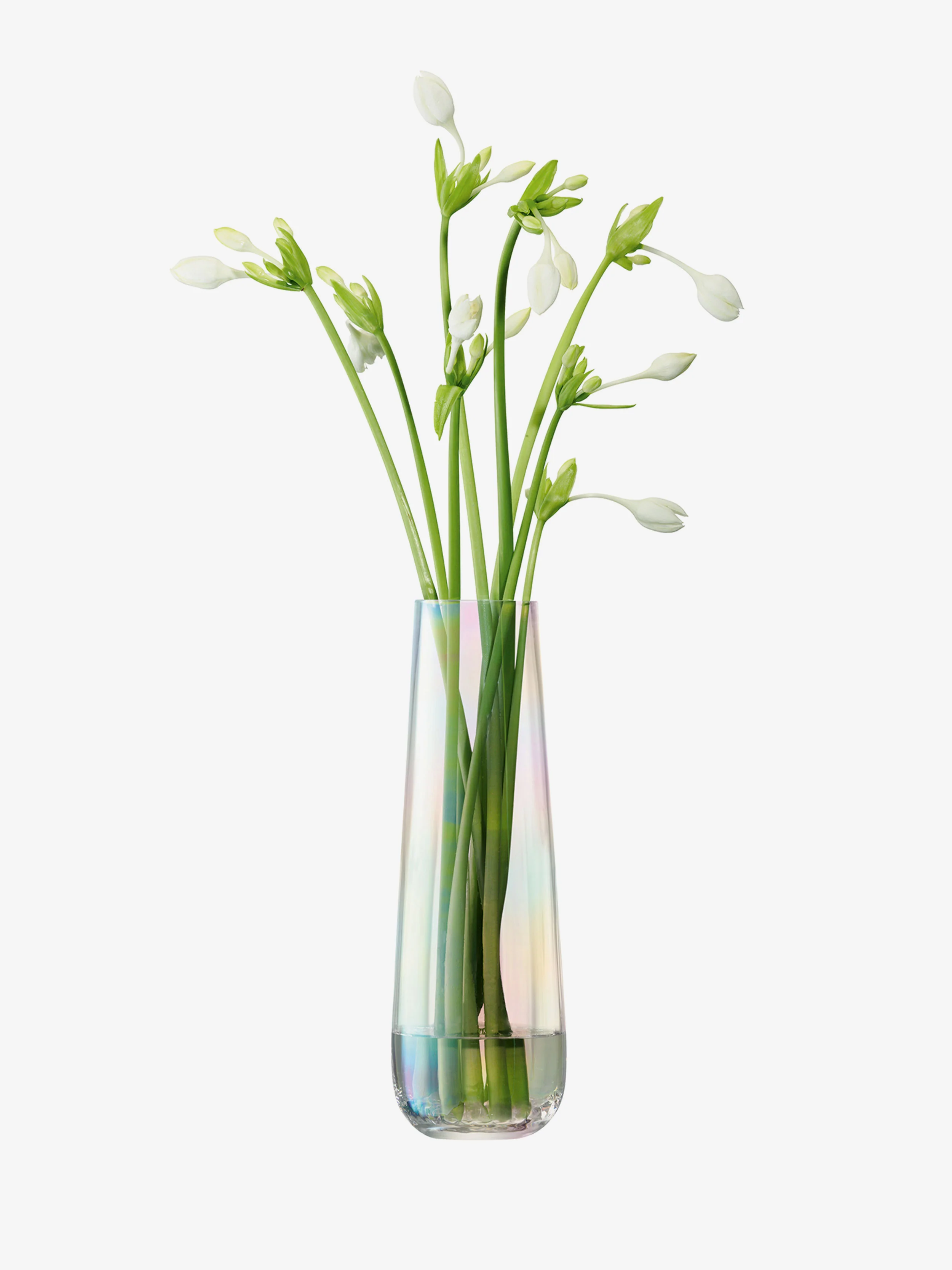 Vase - Image 2