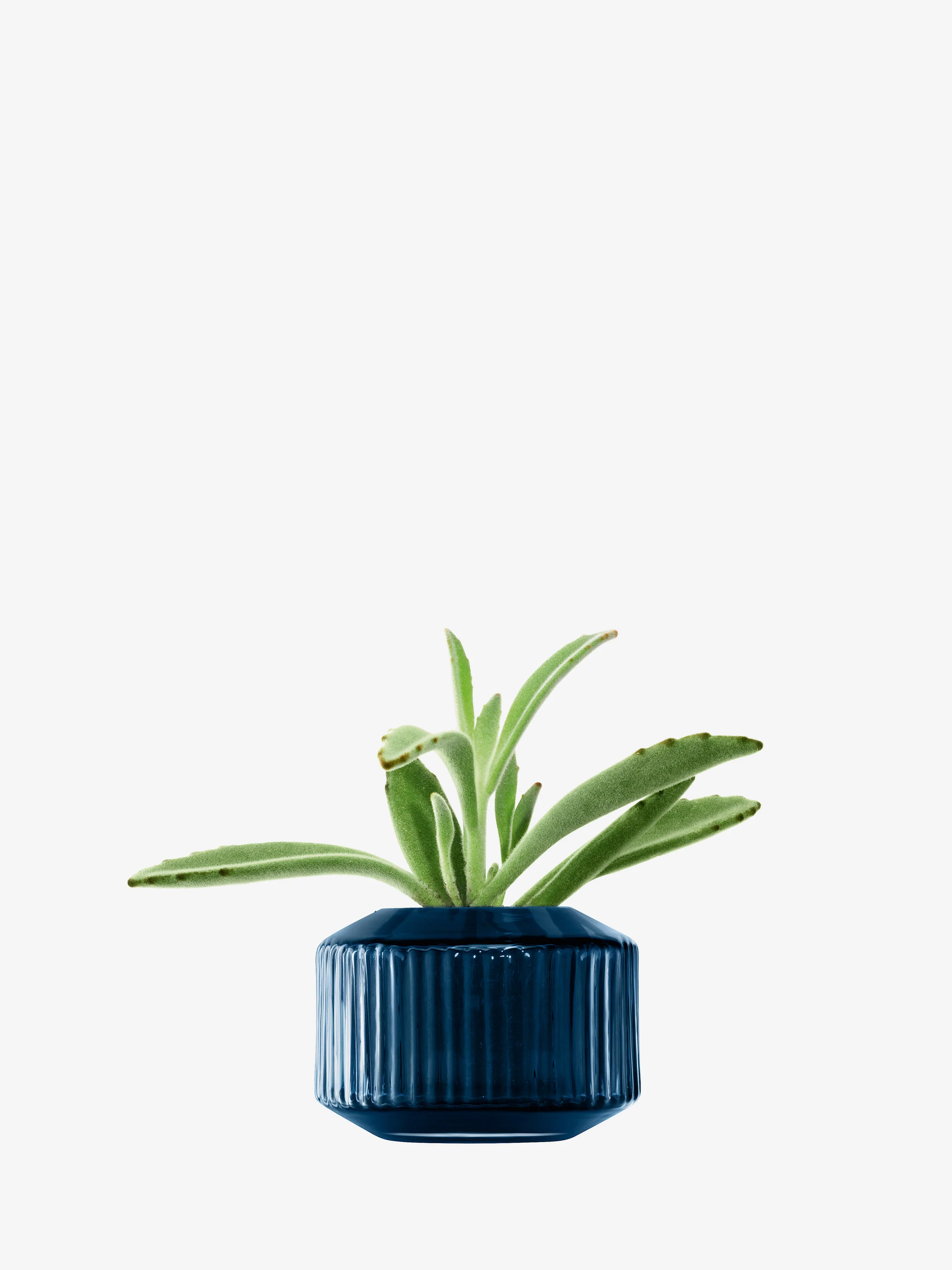 Tealight Holder/Vase - Image 3