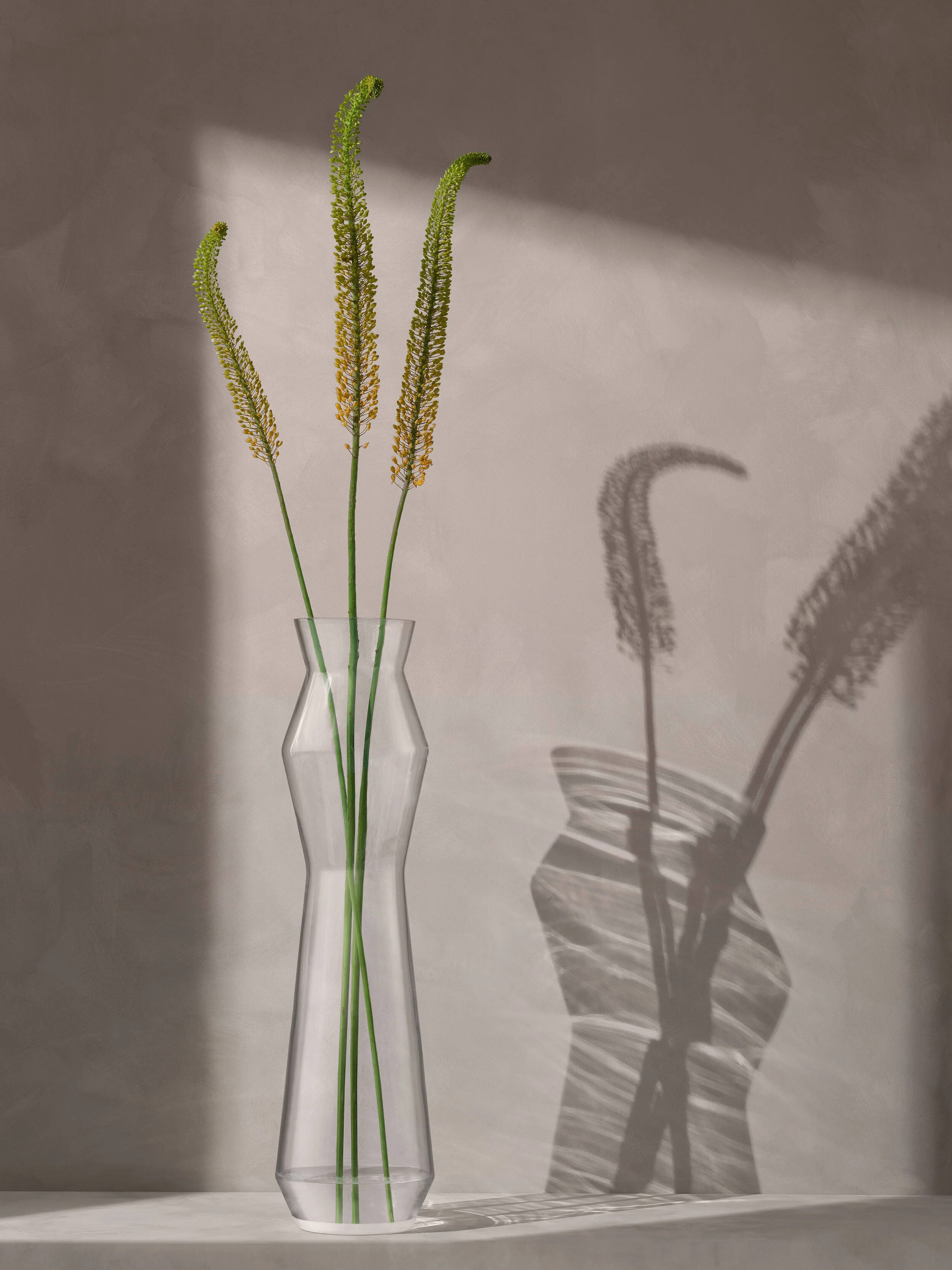 Vase - Image 4