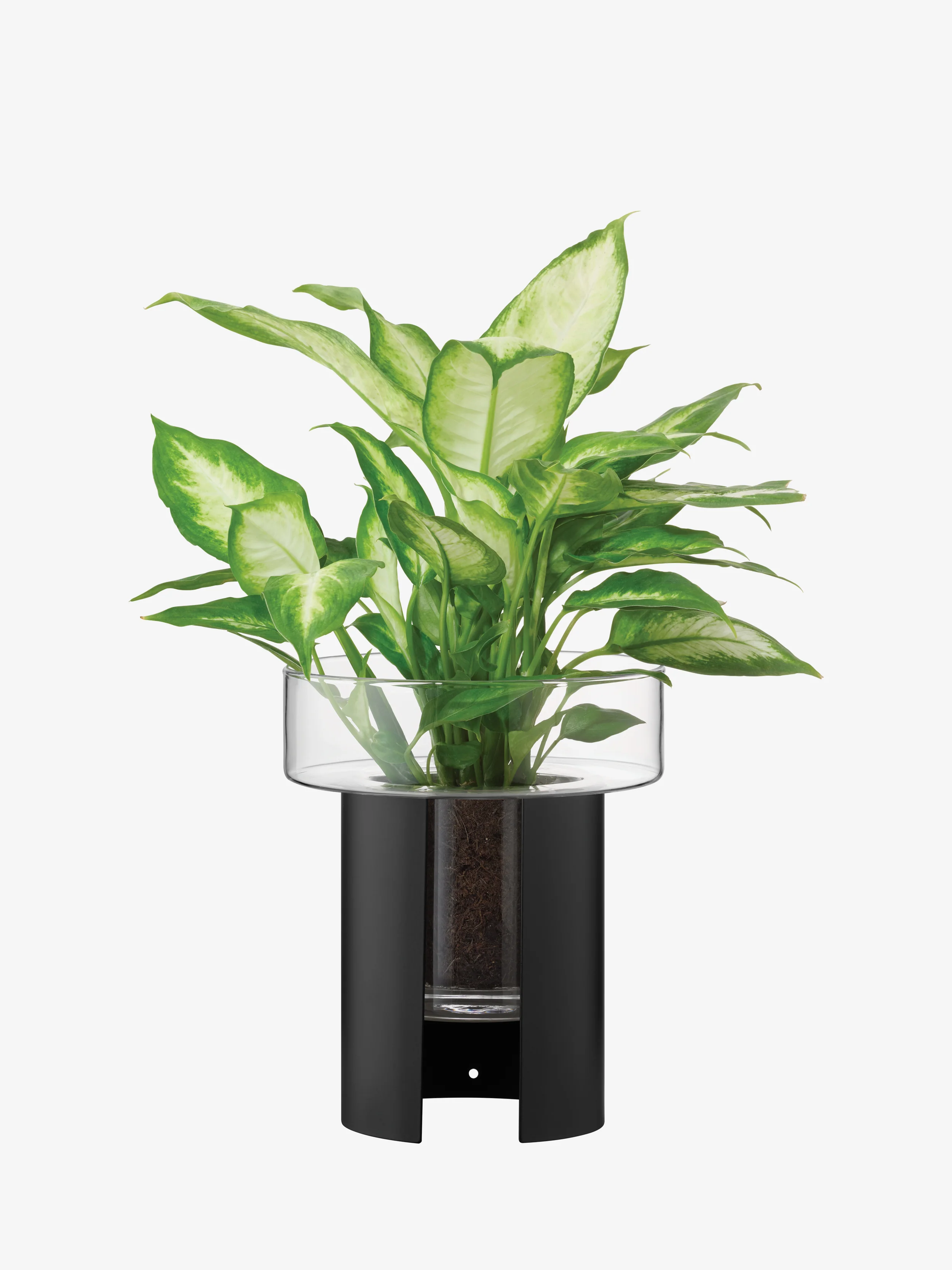 Planter - Image 18
