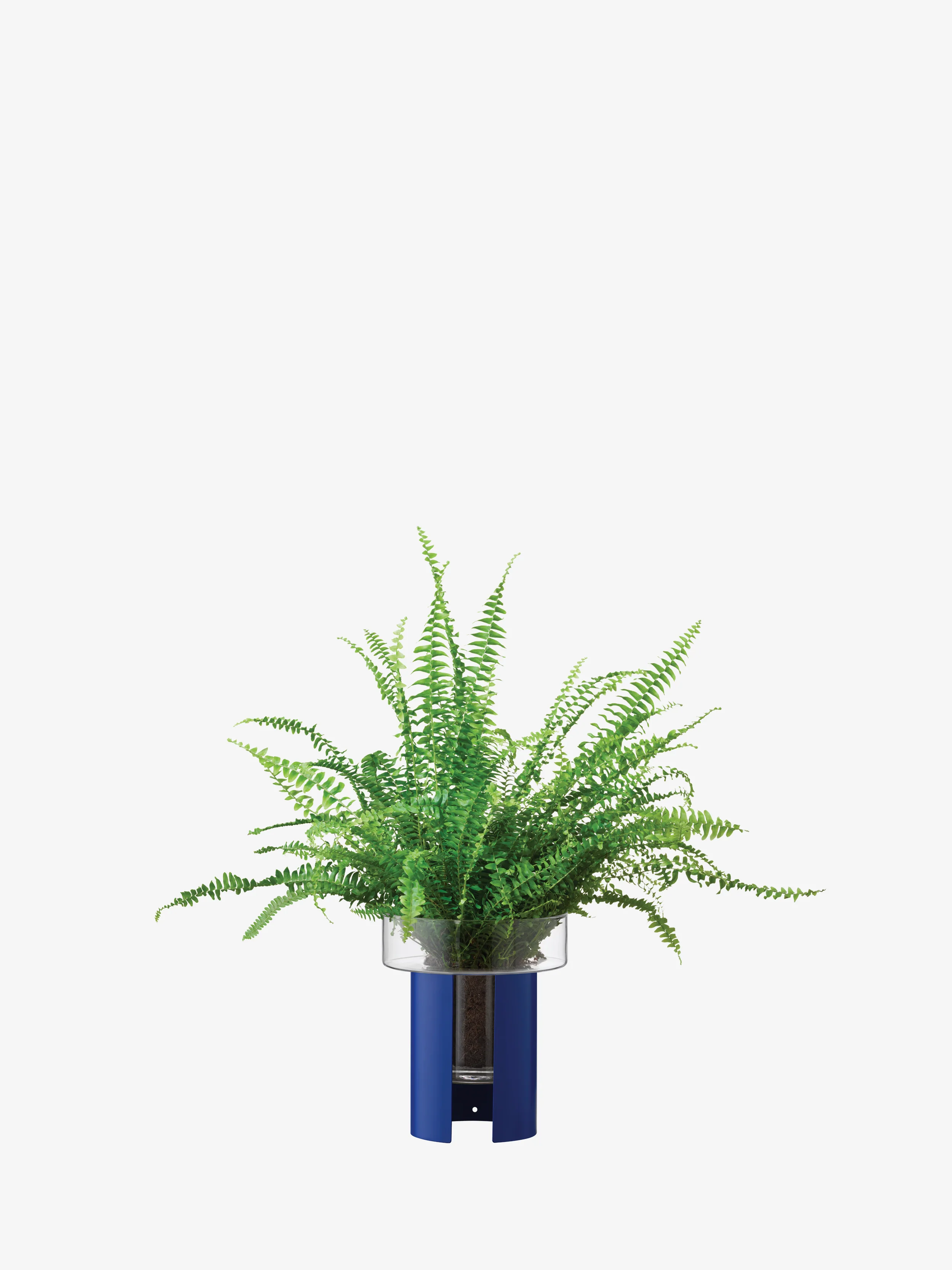 Planter - Image 7